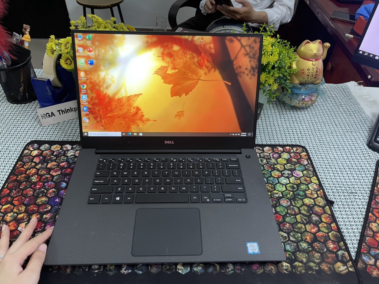🦦Dell XPS 9560