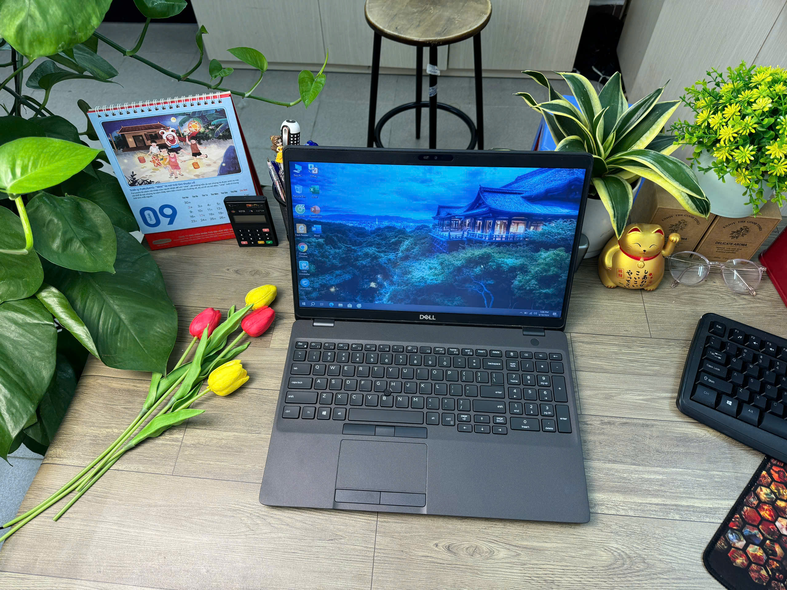 Dell Latitude 5500