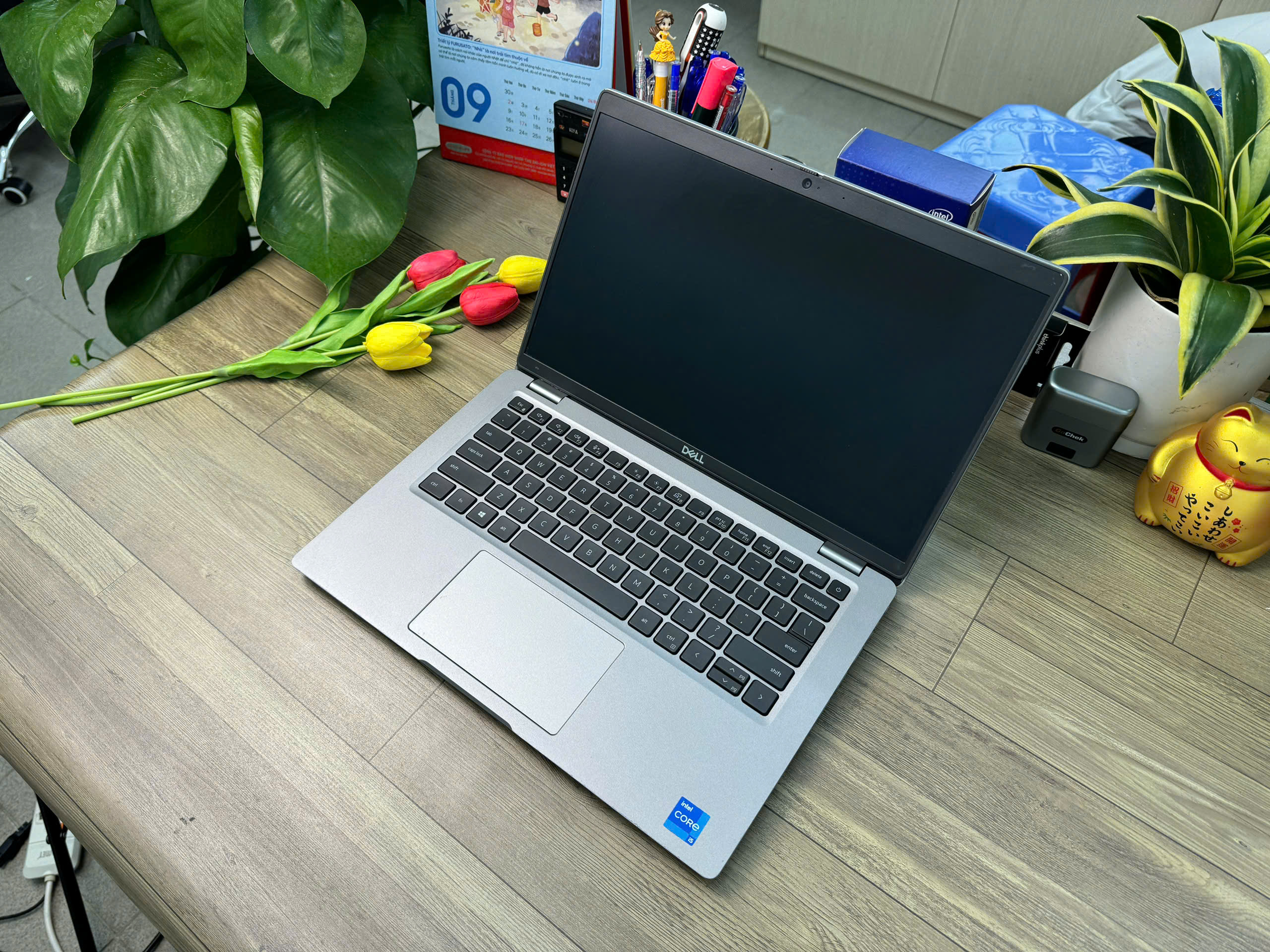 Dell Latitude 5420