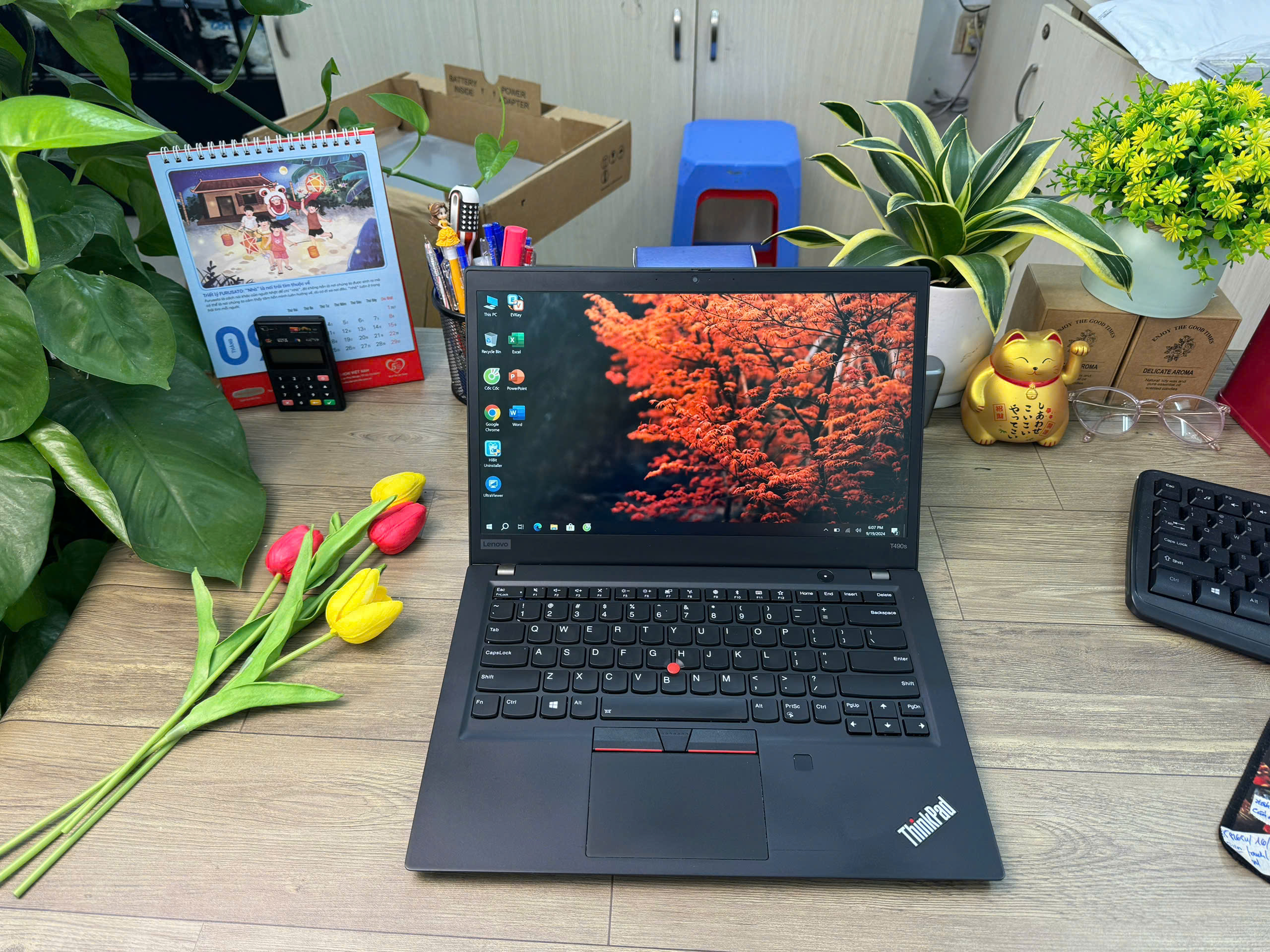 Thinkpad T490s