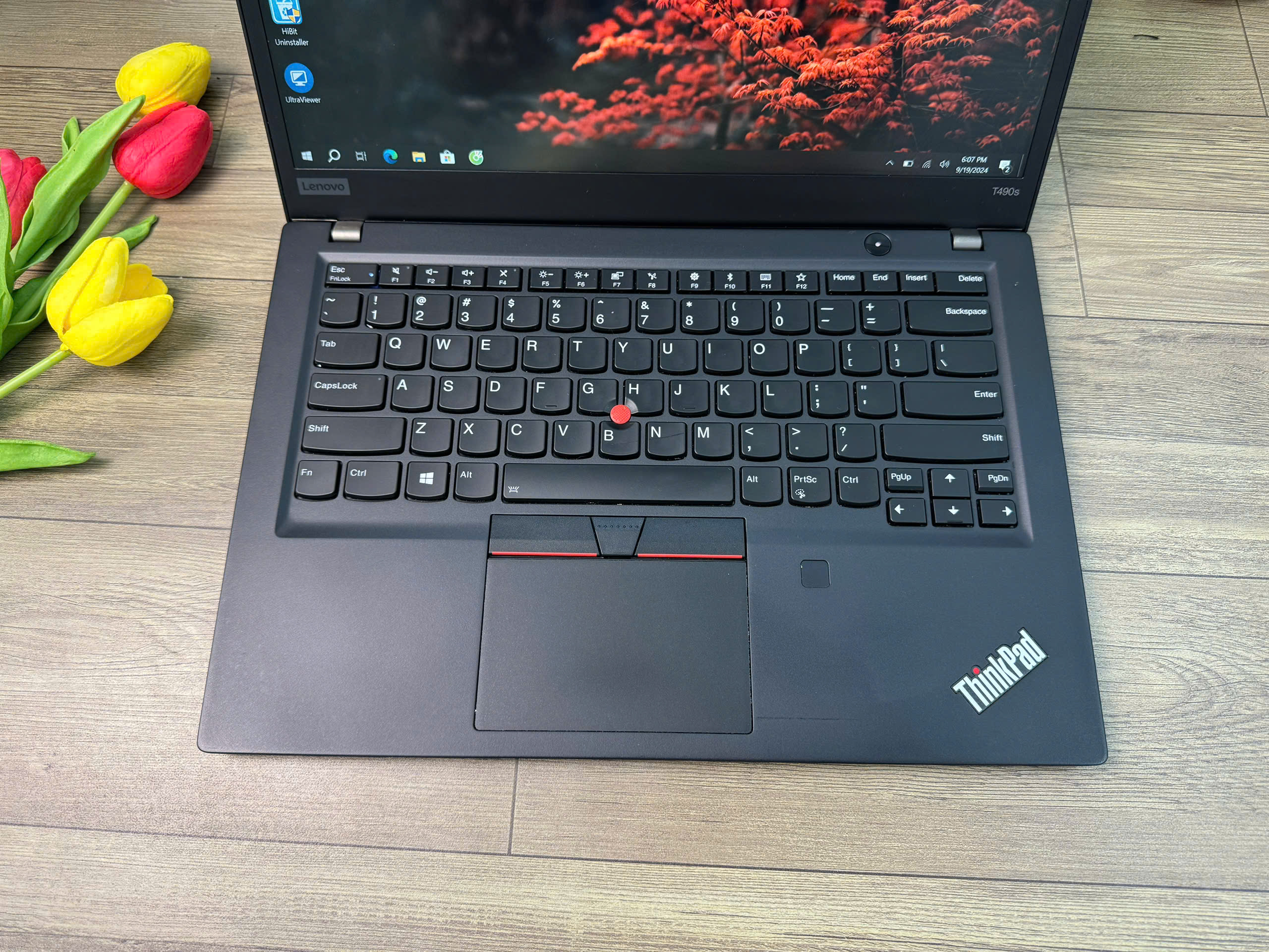 Thinkpad T490s