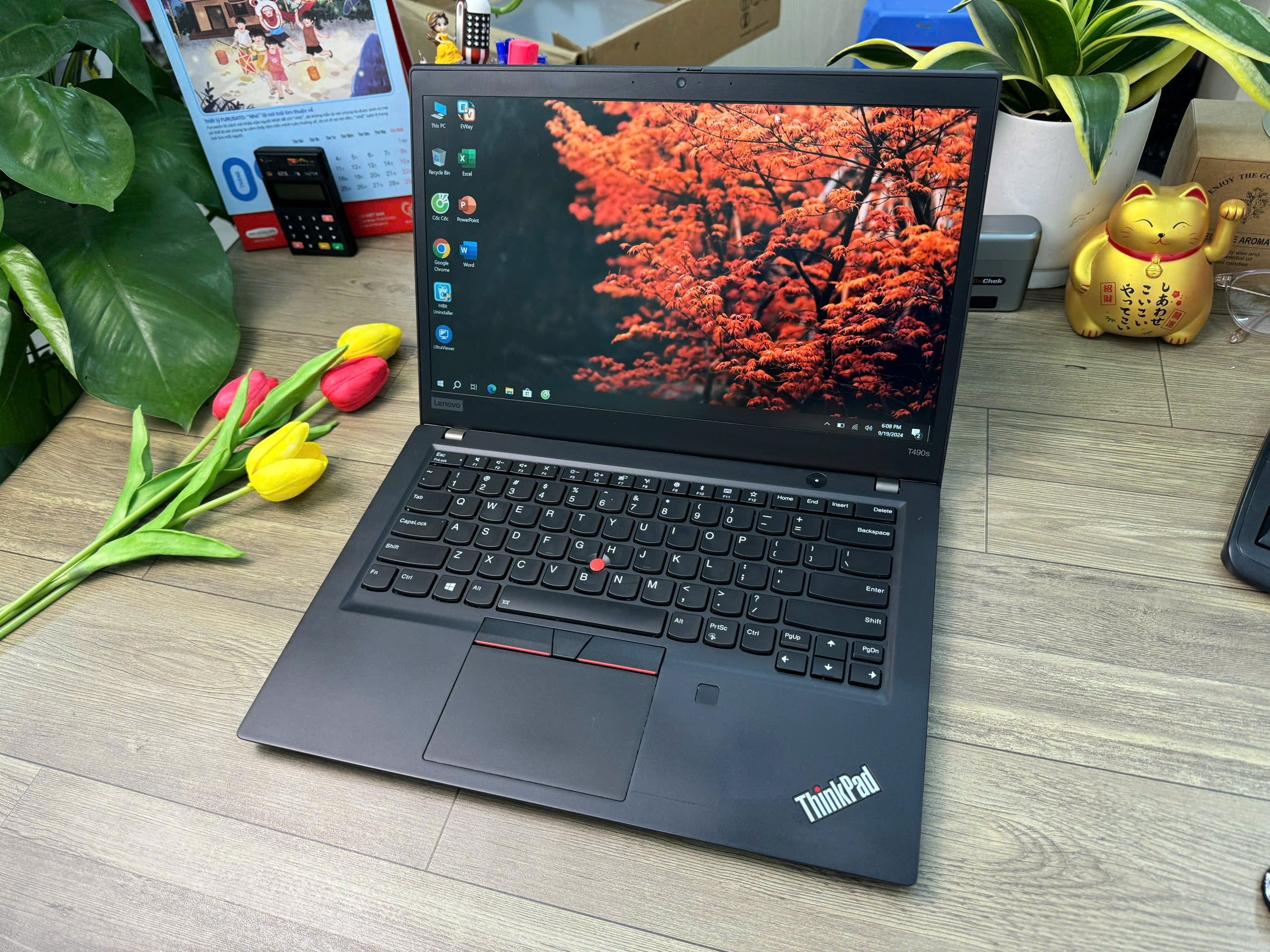 Thinkpad T490s