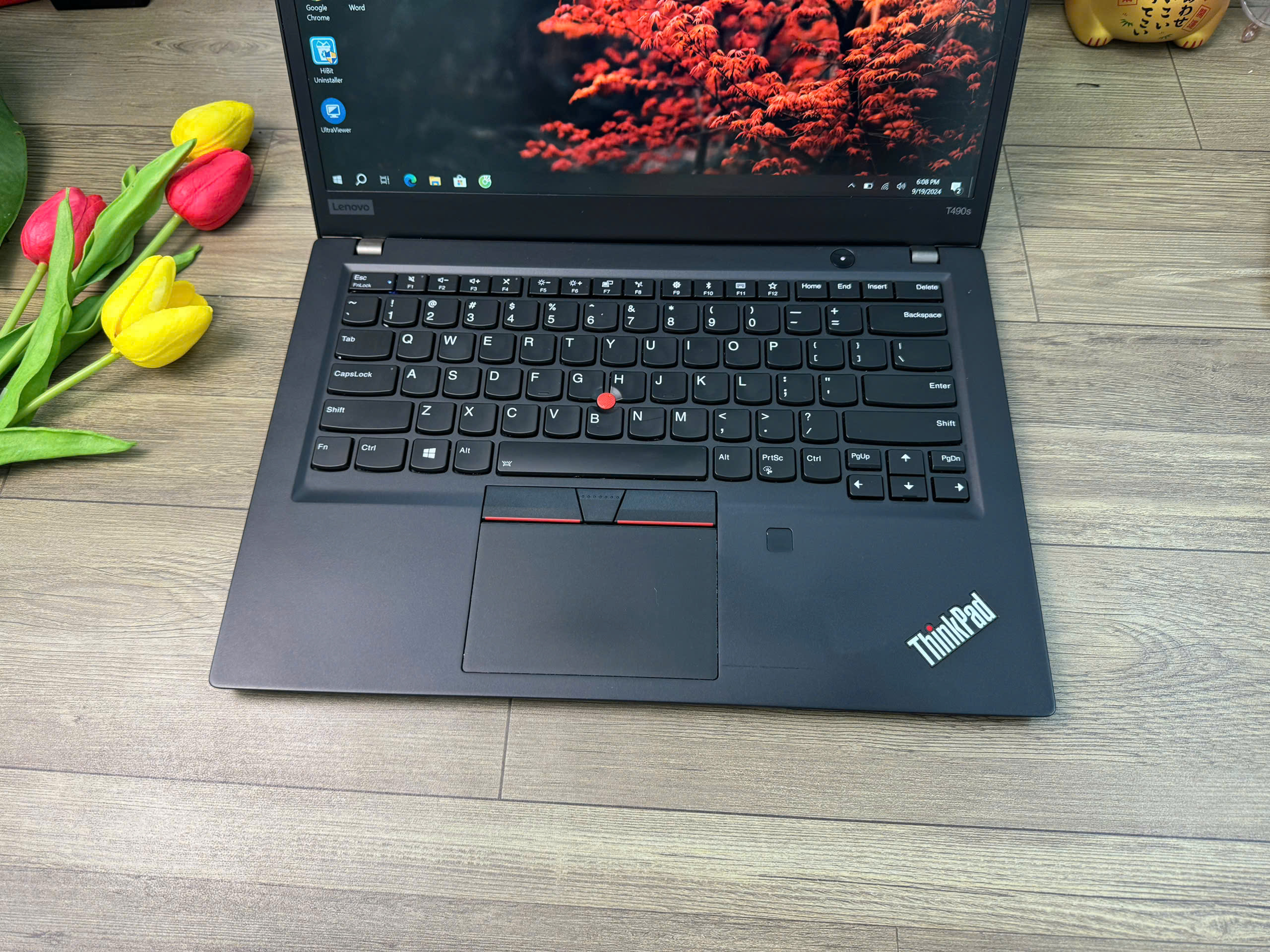 Thinkpad T490s