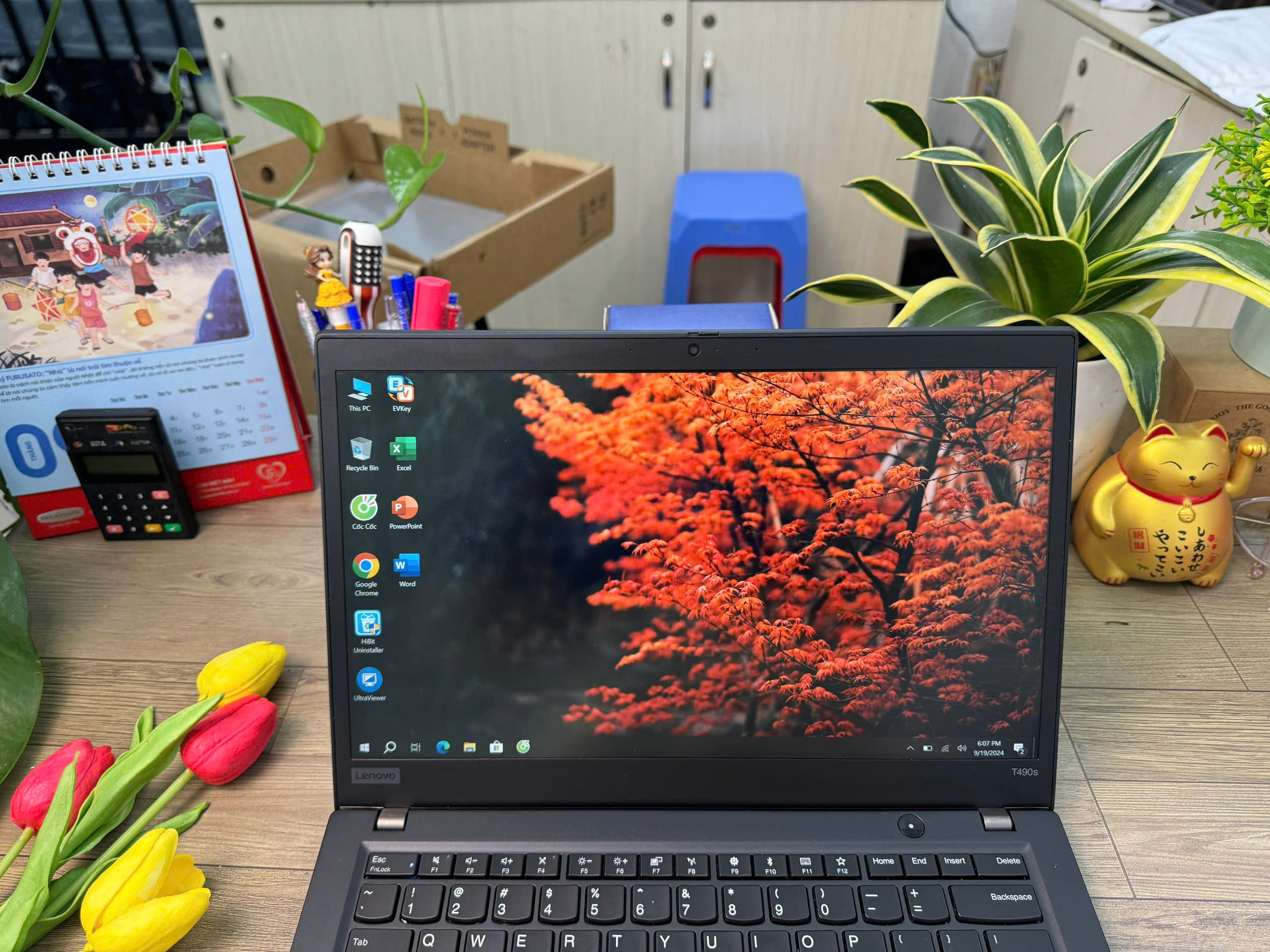 Thinkpad T490s