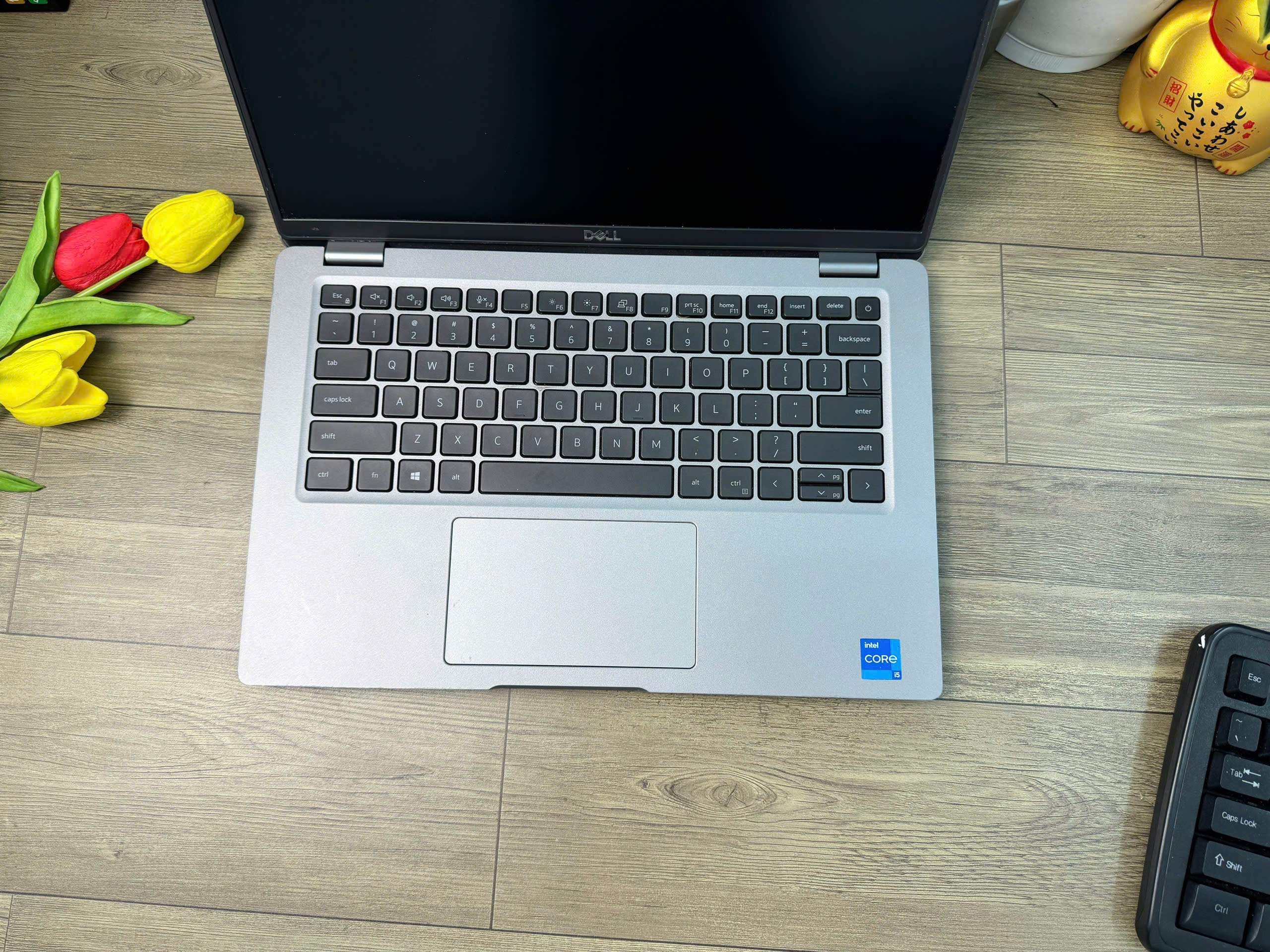 Dell Latitude 5420