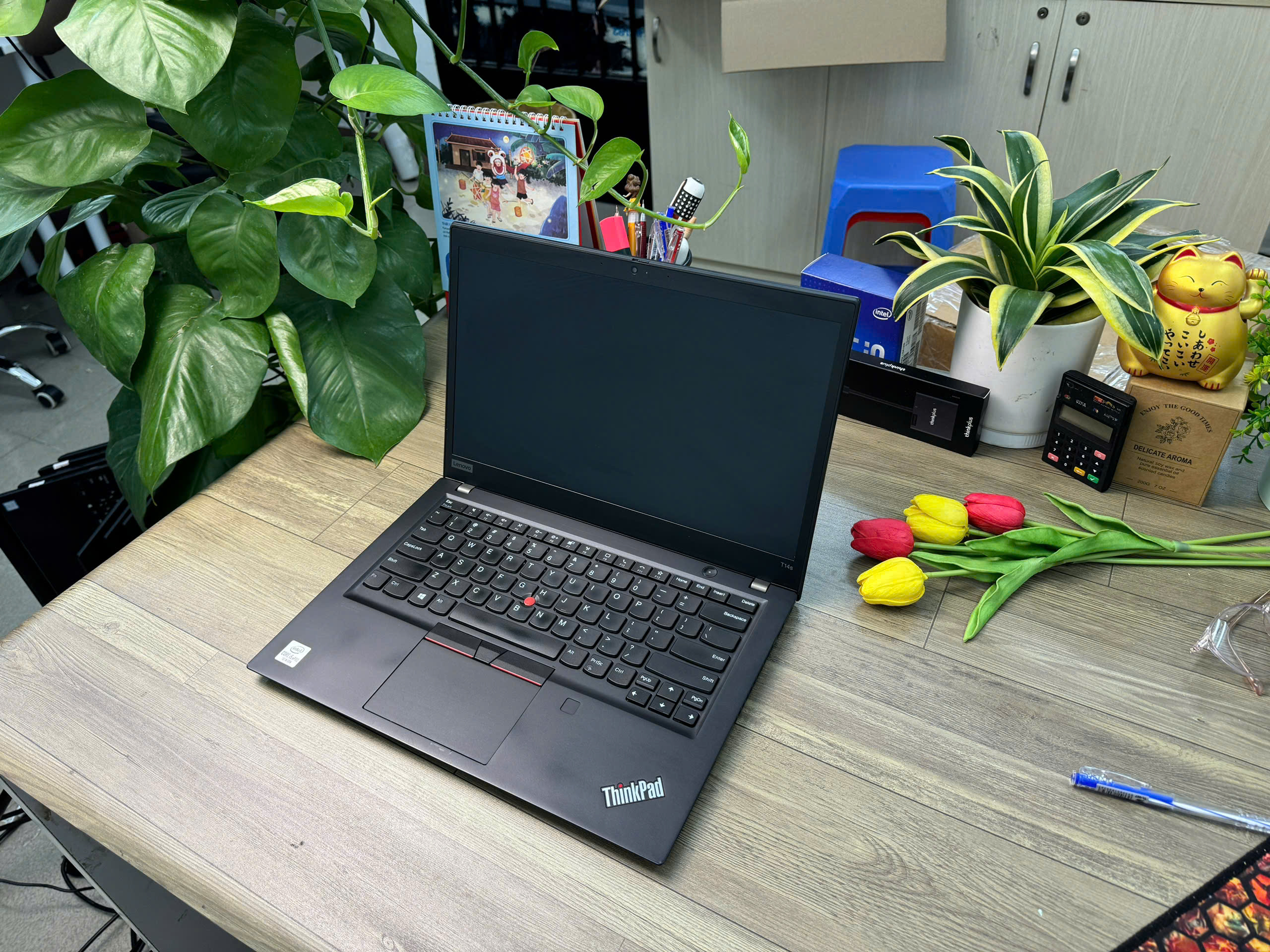 Thinkpad T14s Gen 1