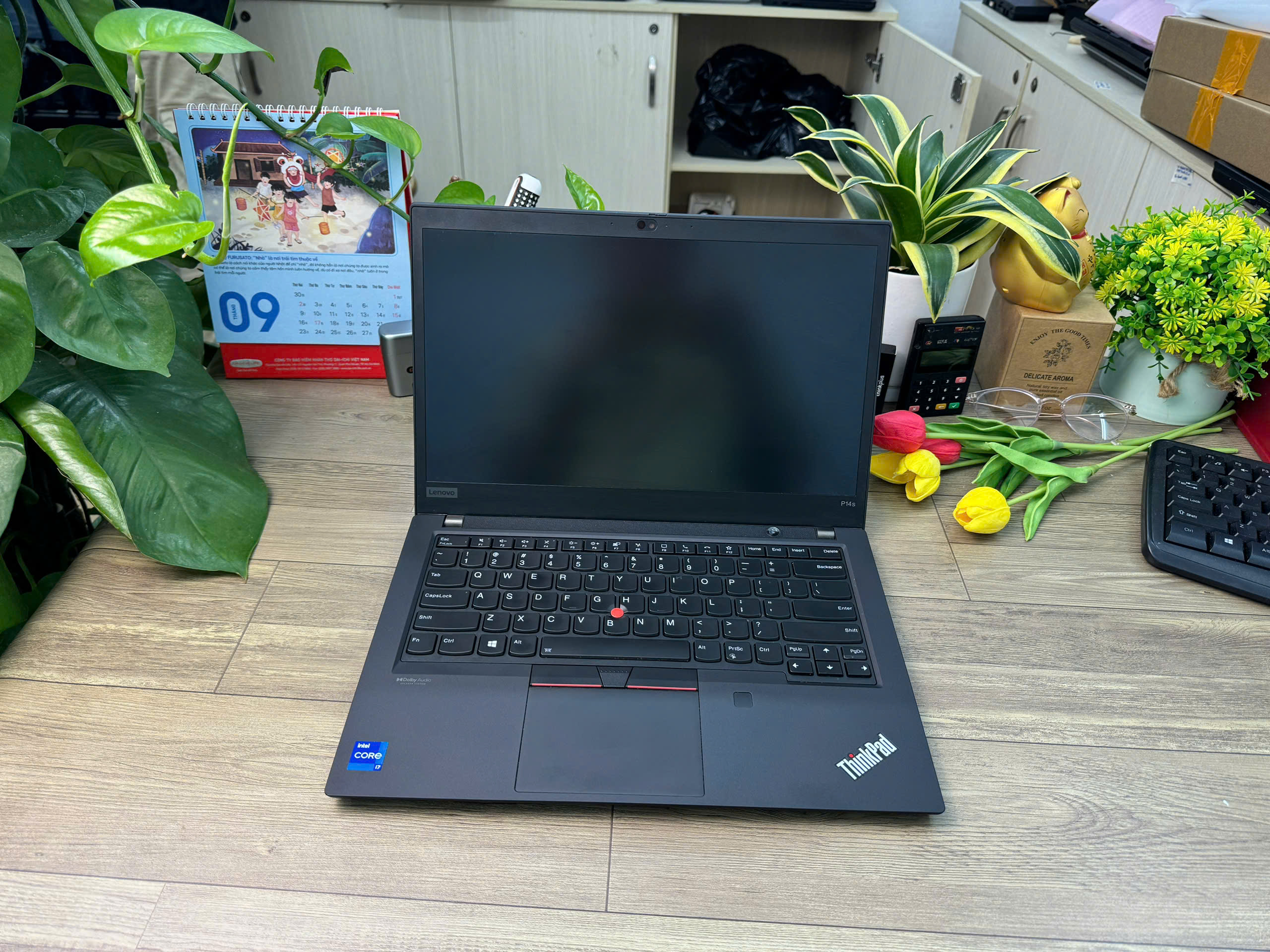 Thinkpad P14s Gen 2