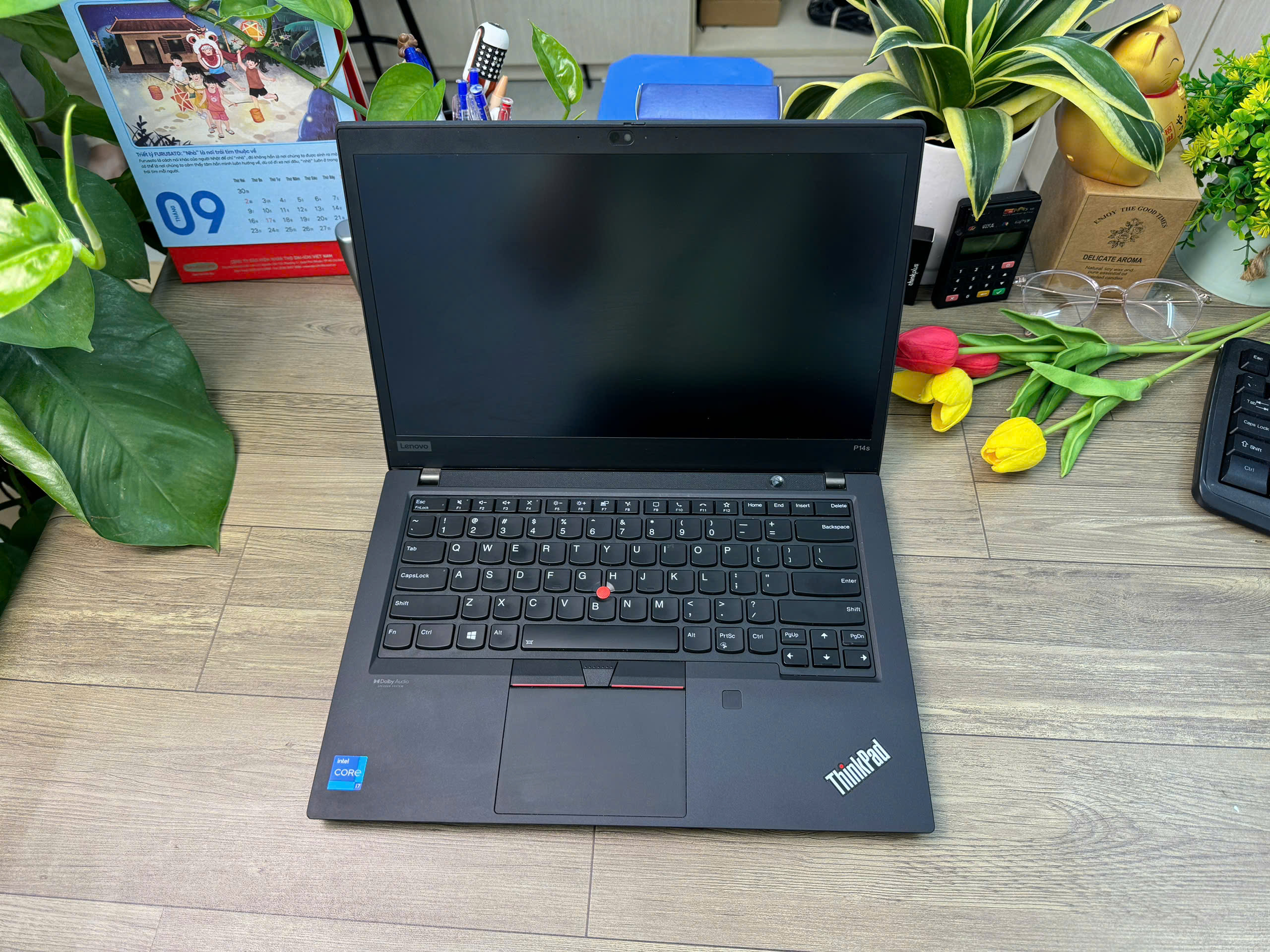 Thinkpad P14s Gen 2