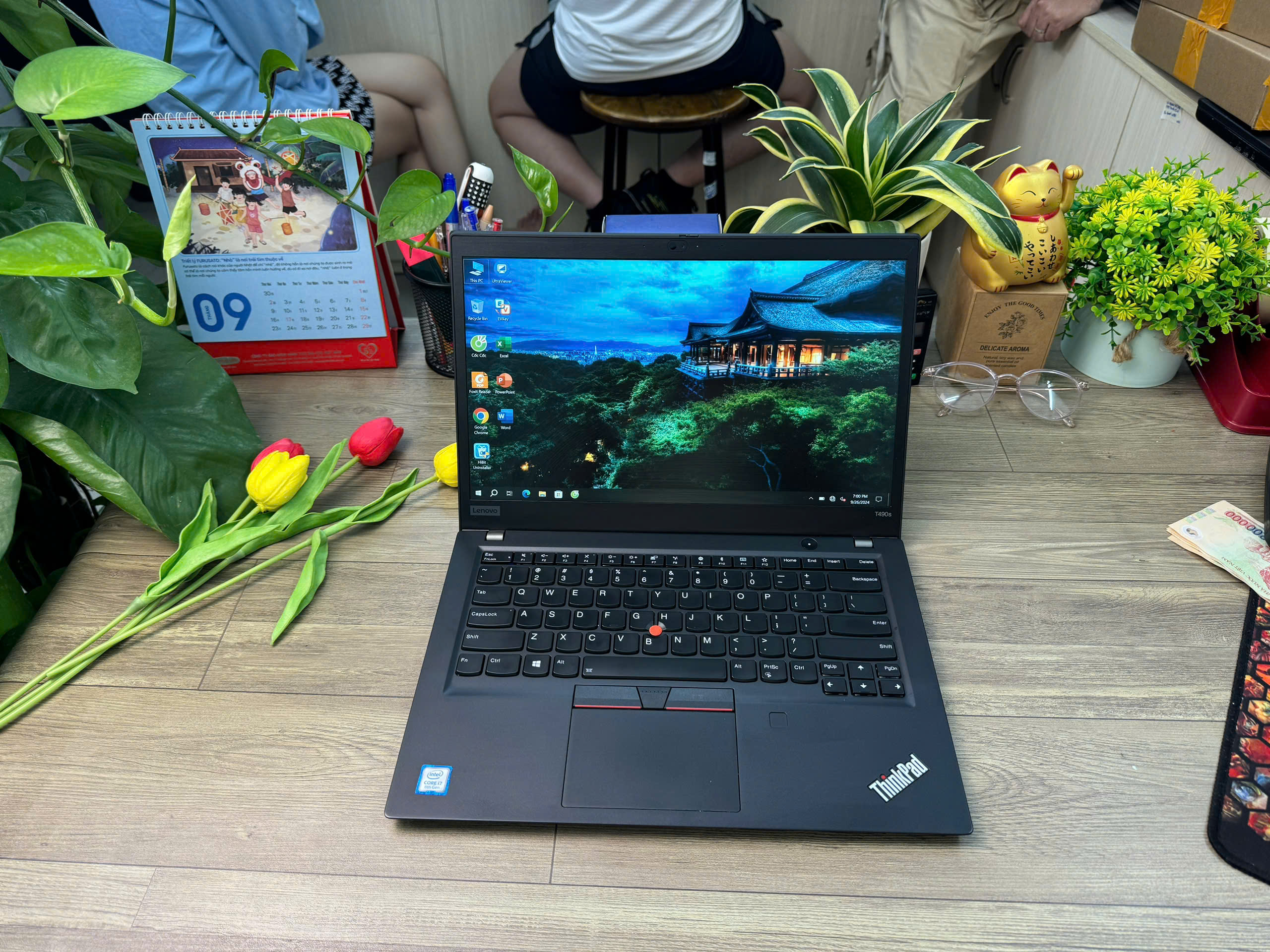 Thinkpad T490S