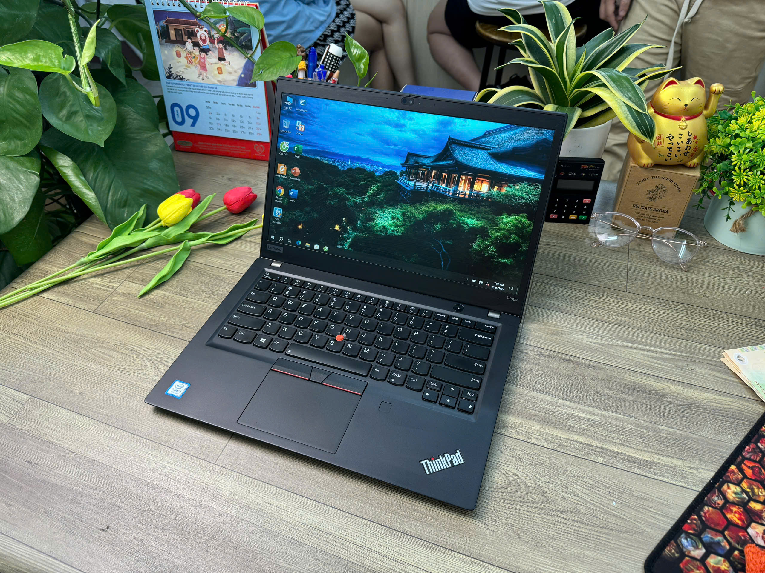 Thinkpad T490S