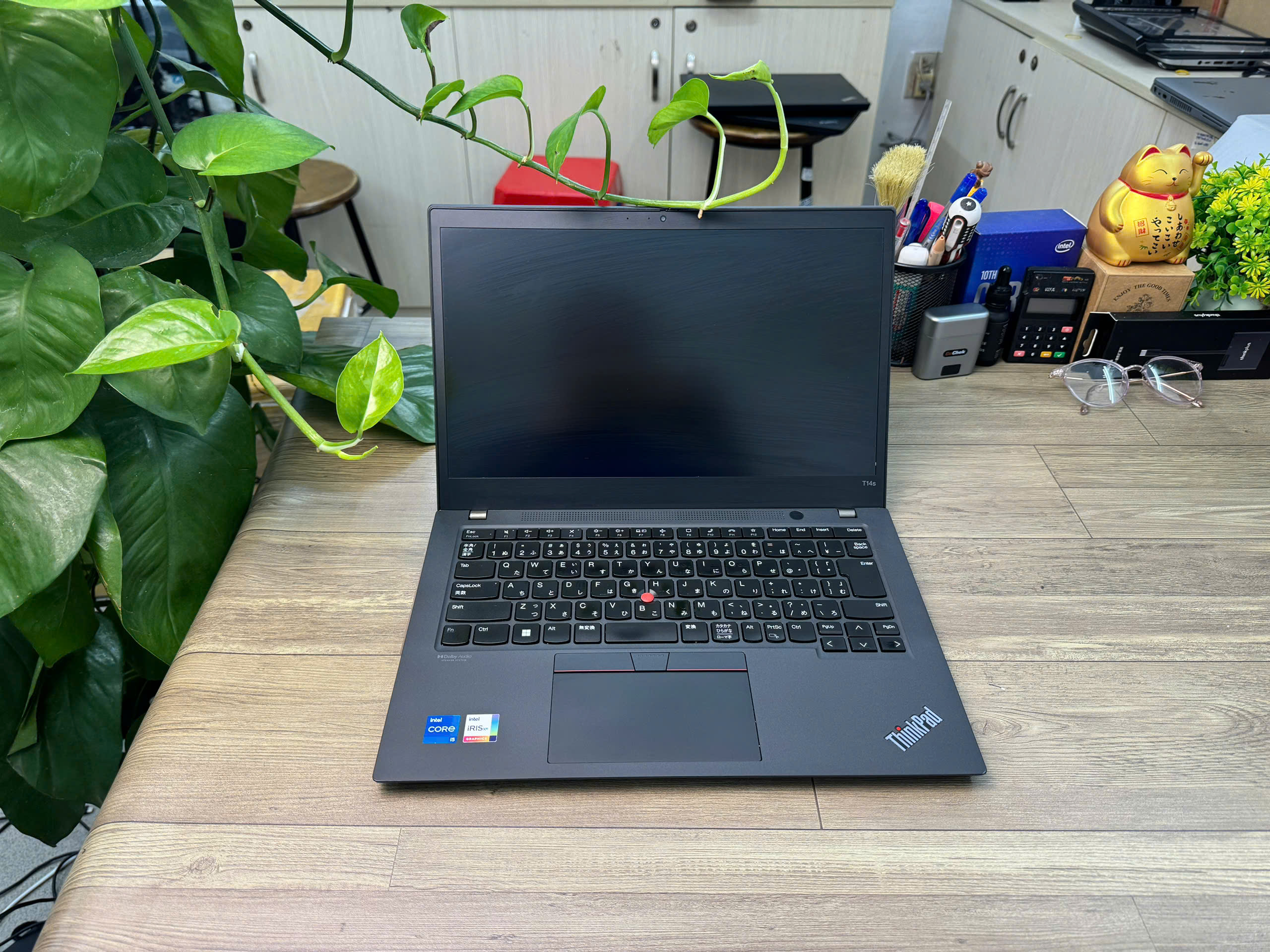 Thinkpad T490