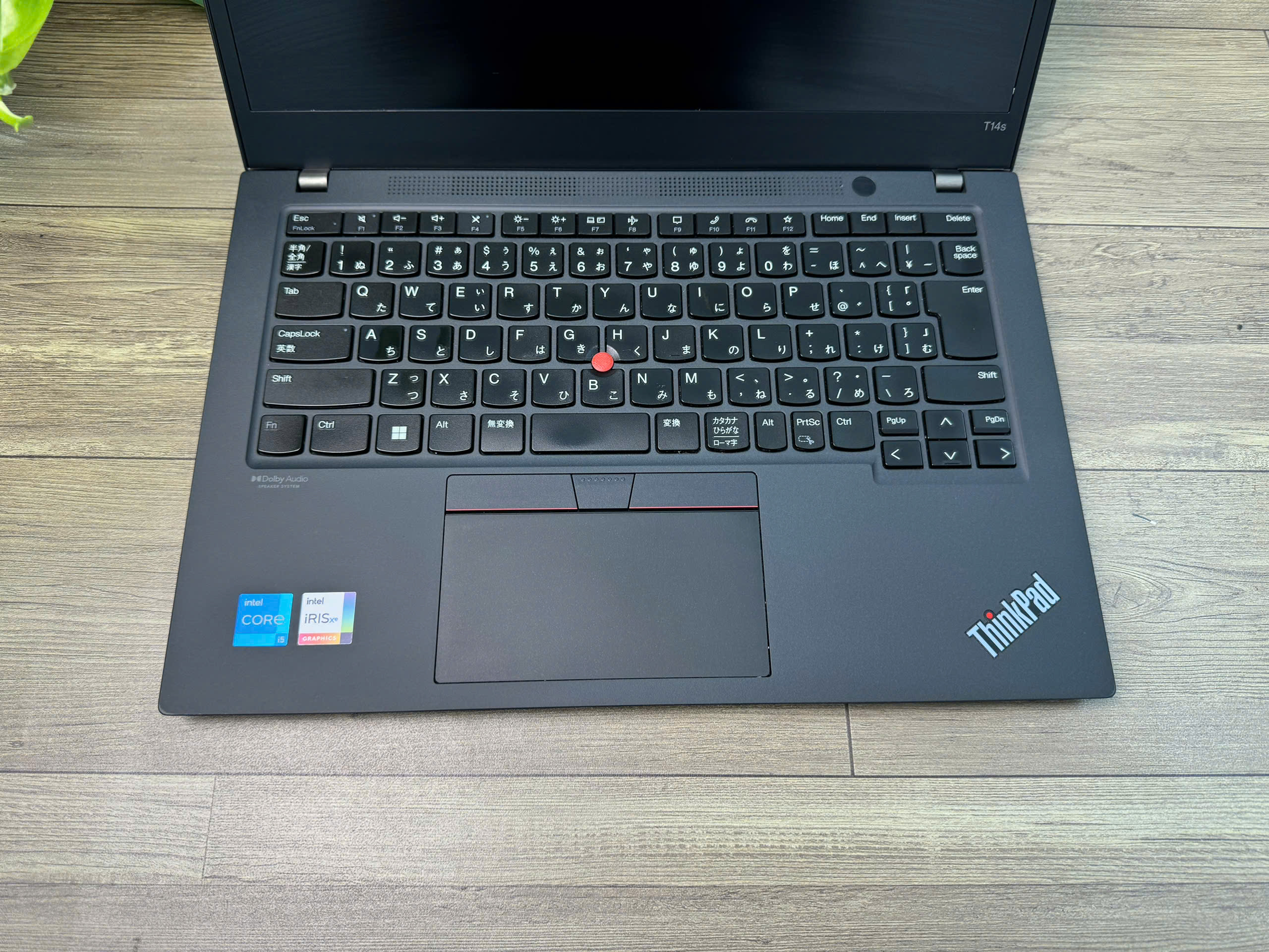 Thinkpad T490