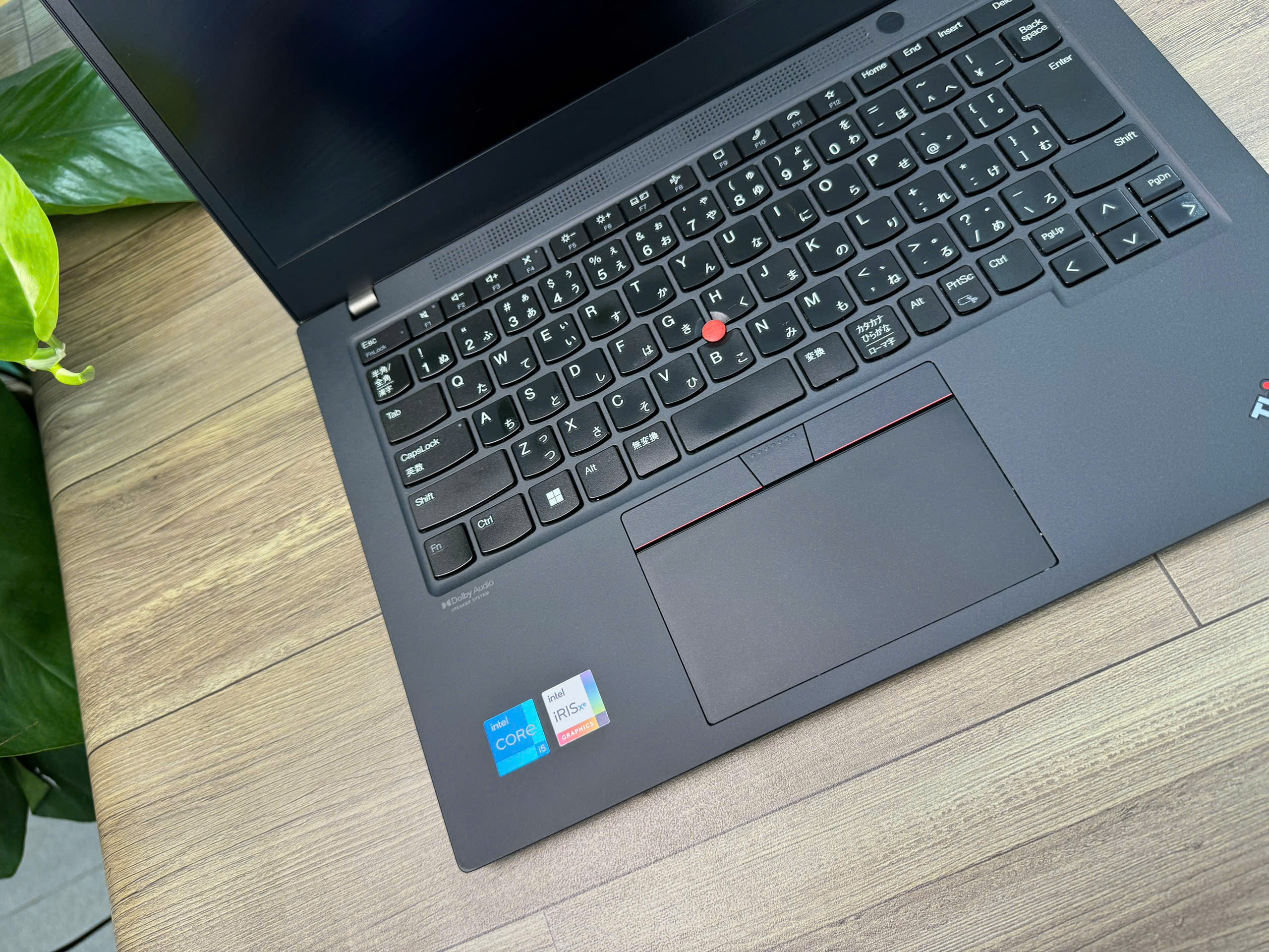 Thinkpad T490