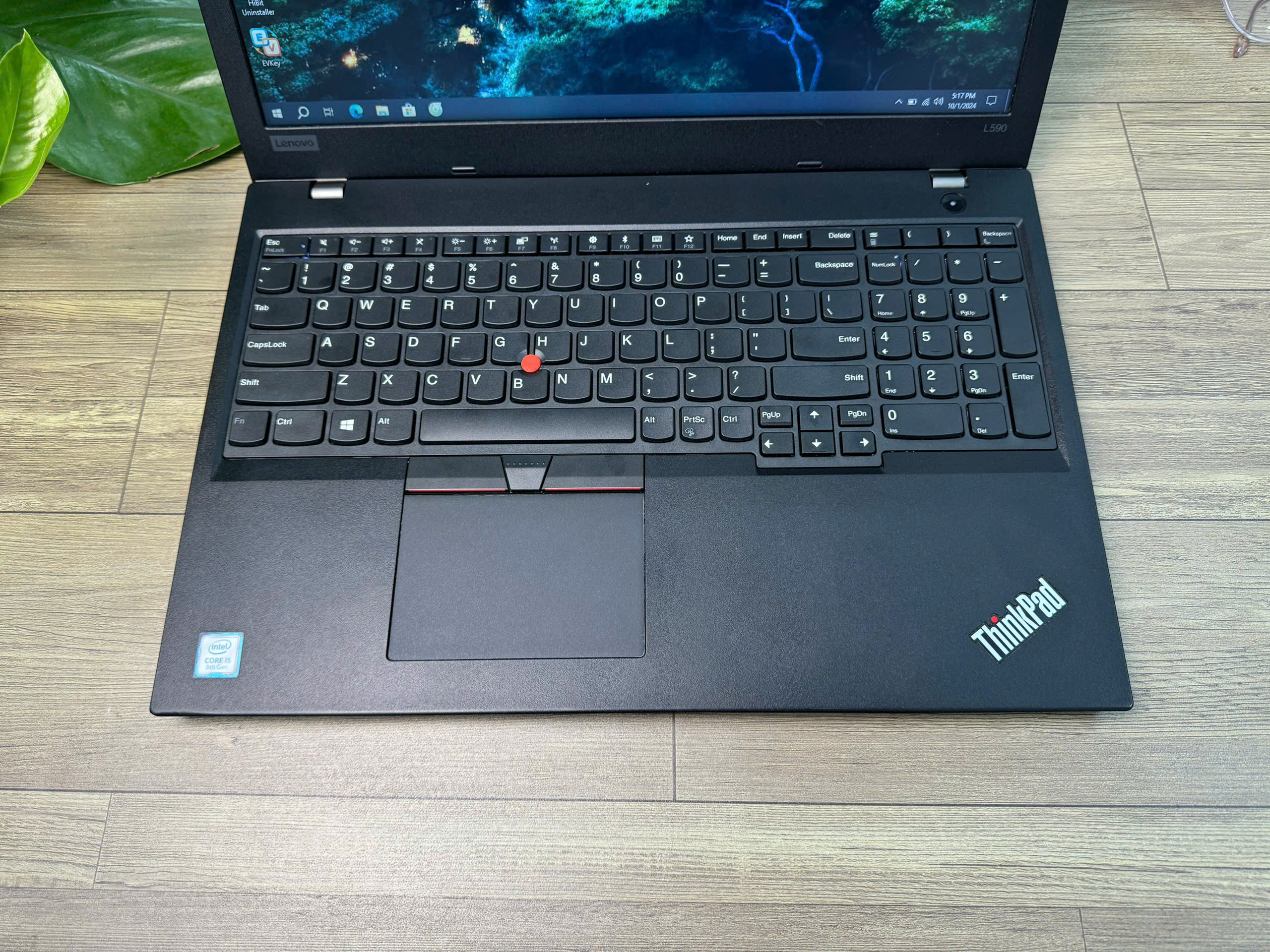 Thinkpad L590