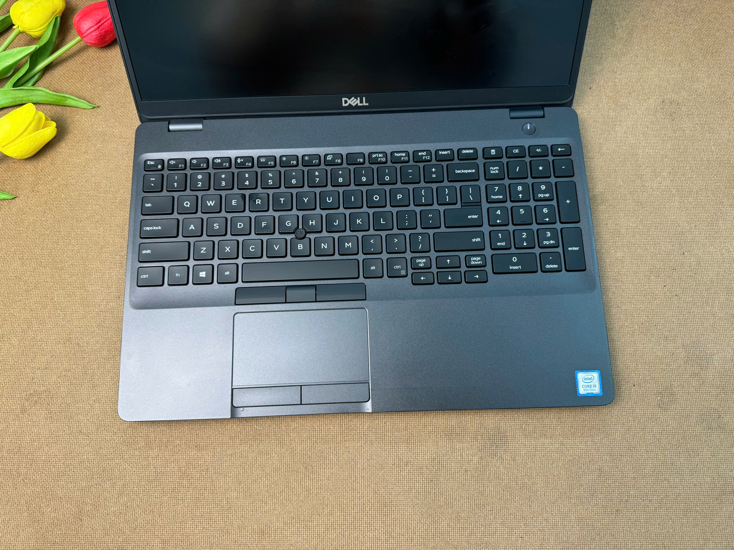 Dell Latitude 5500