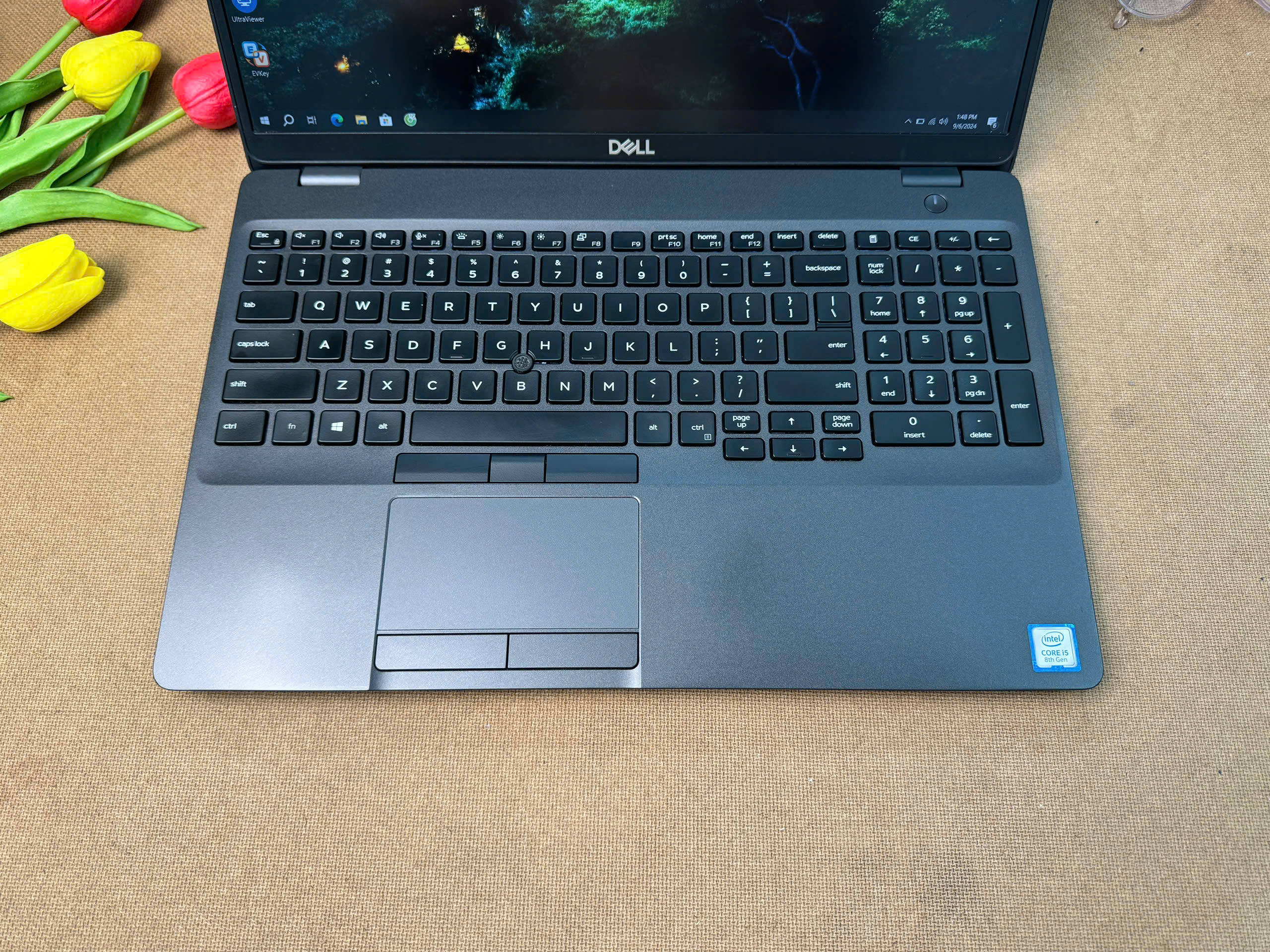 Dell Latitude 5500