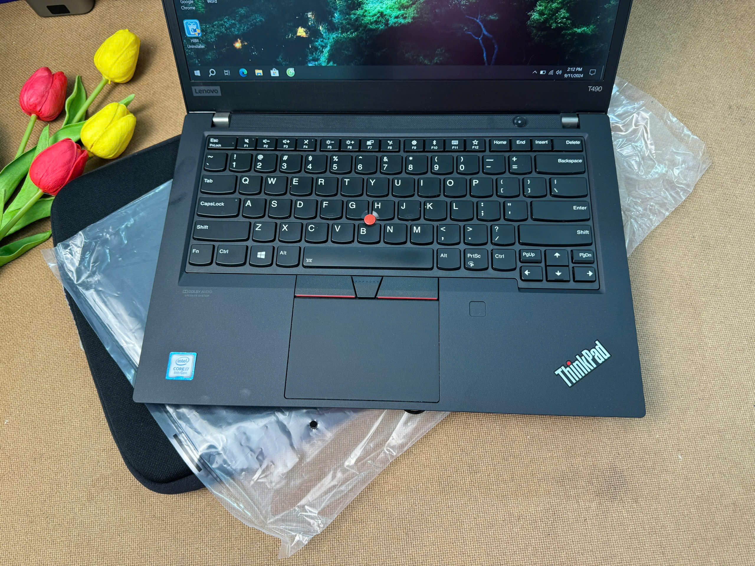 ⚛️Thinkpad T490