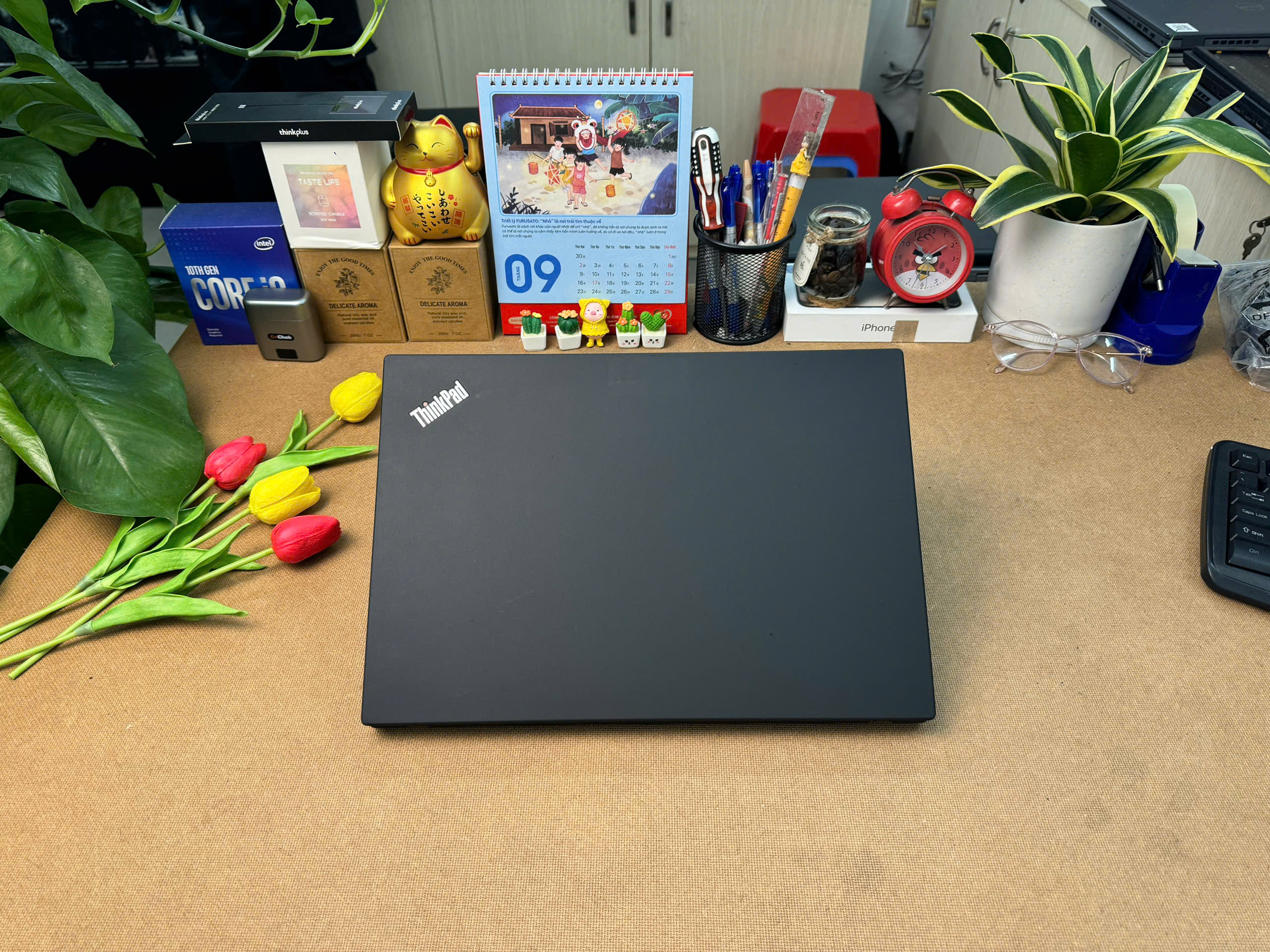 🥮Thinkpad T14 Gen 1