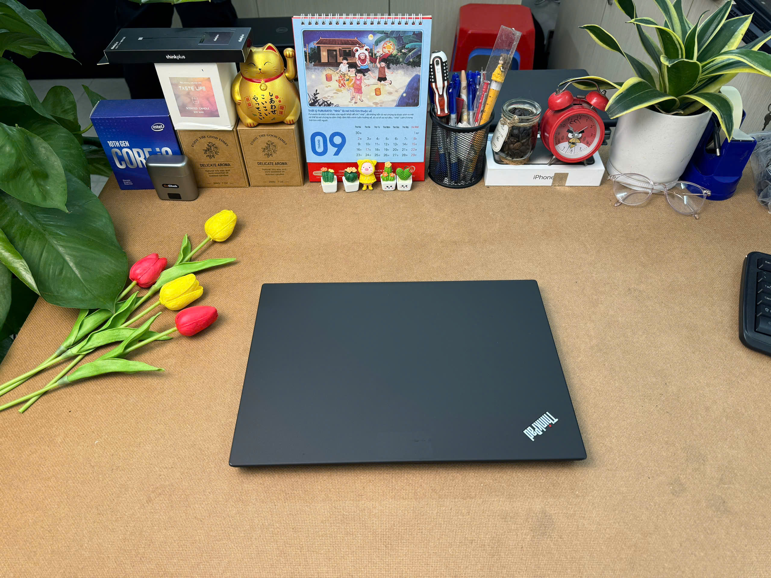 🥮Thinkpad T14 Gen 1