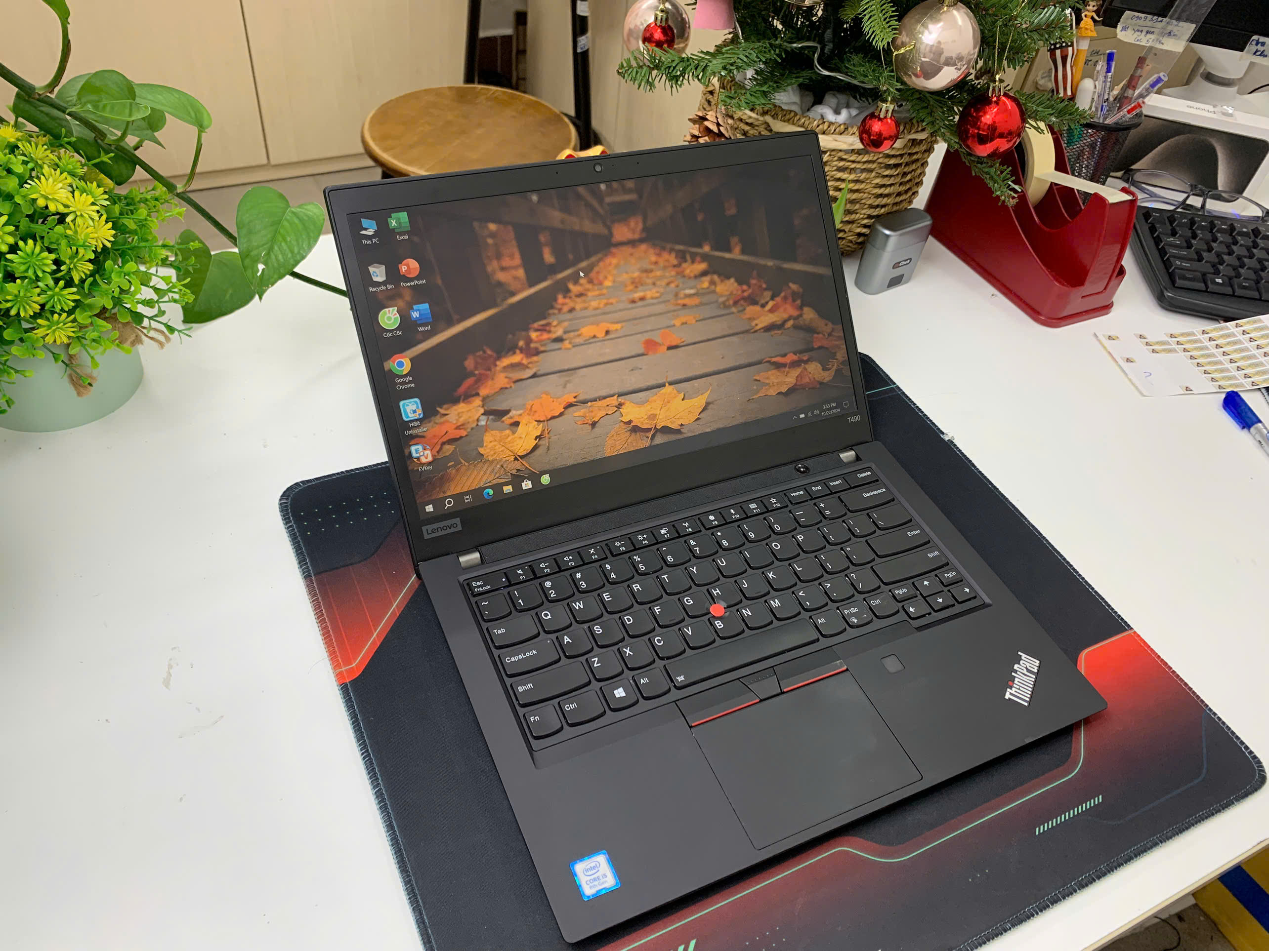 Thinkpad T490