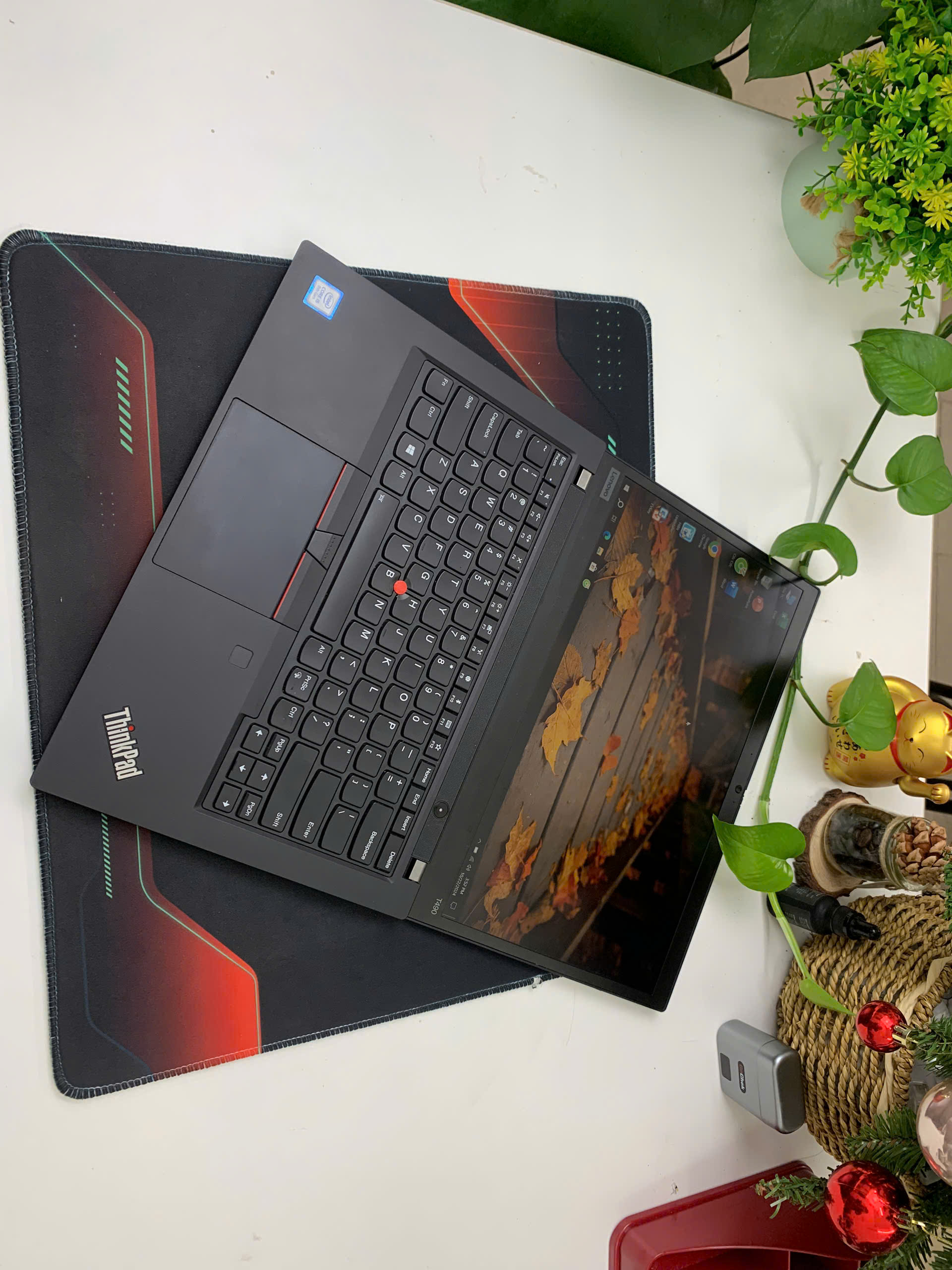 Thinkpad T490