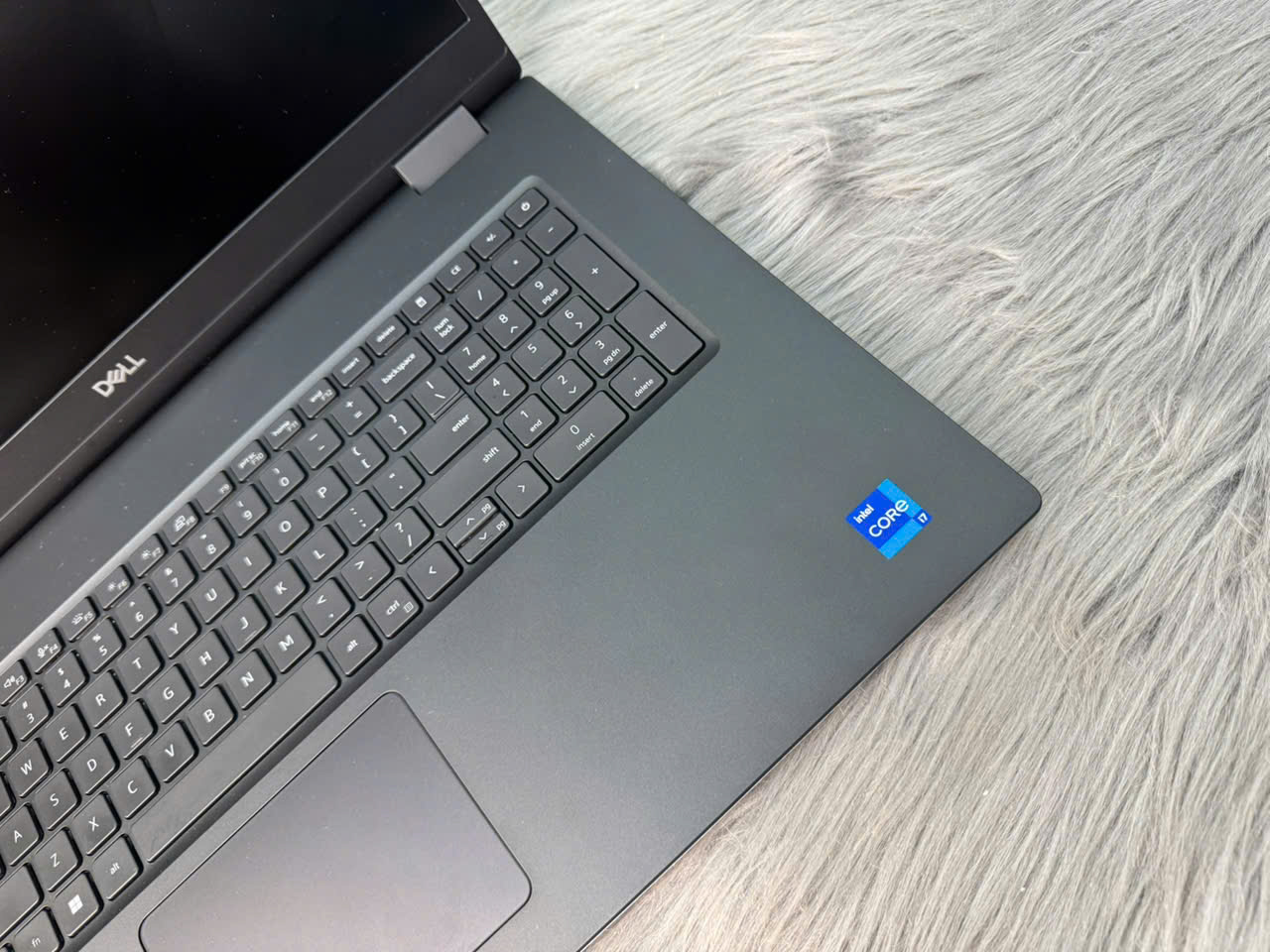 z7087002542078_0c0dc0475972b18de480c4748f5c284e