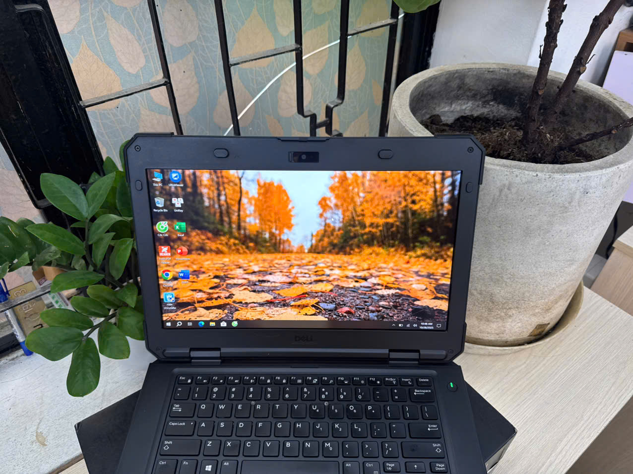 z7163166119181_b29828d1e6c194d9b62af11d634e04c4