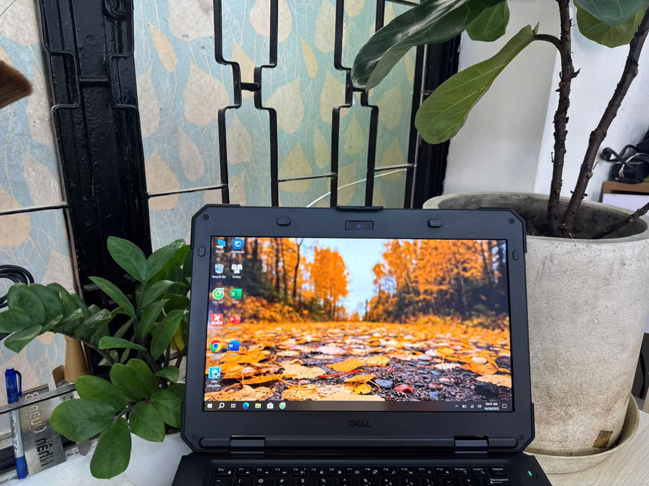 z7163166178061_e40e75508335582042a1bdf4a5fdc2a2