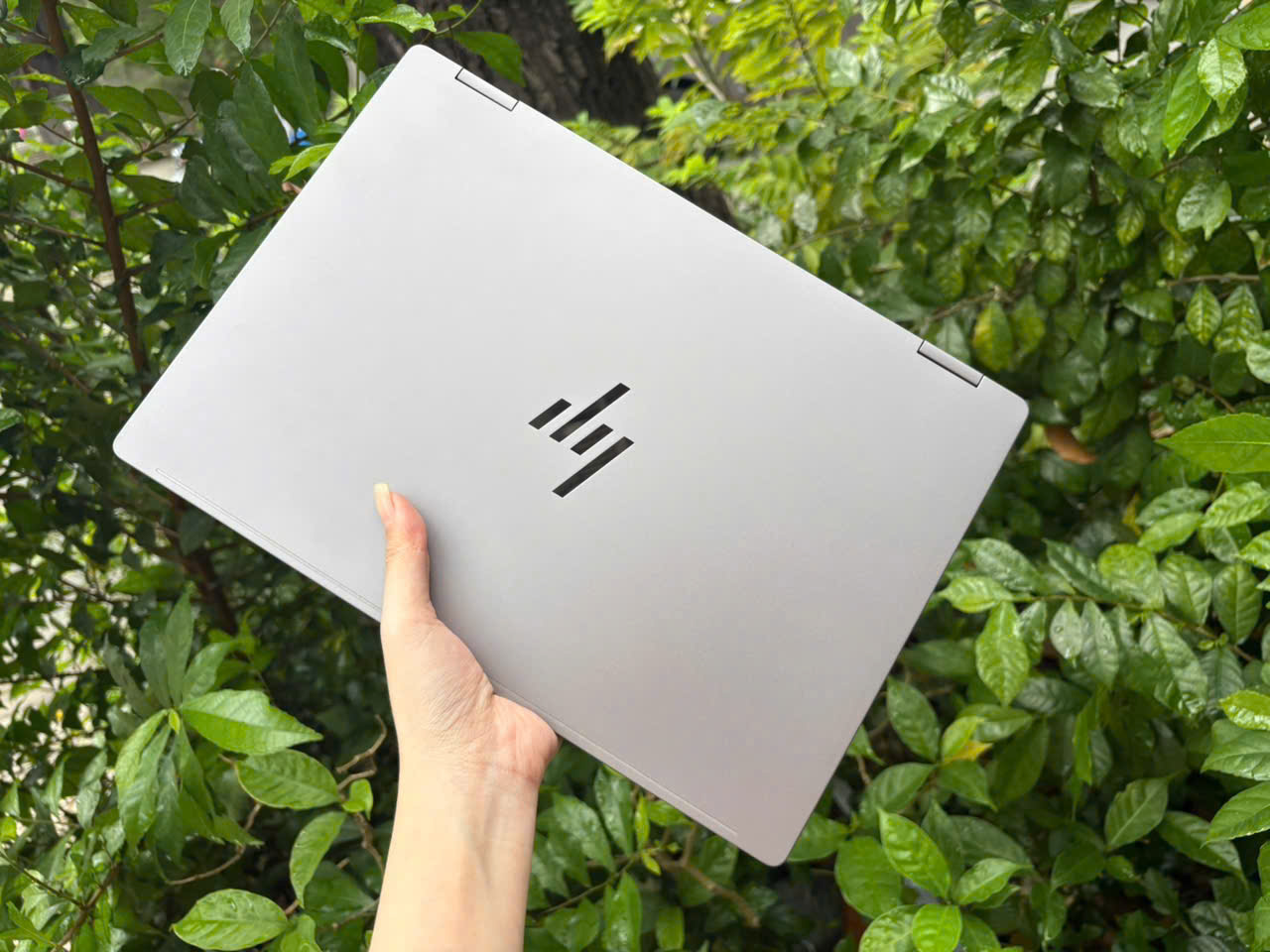 z7163480139172_6562ef3d7404181e3d4a60b40780a908