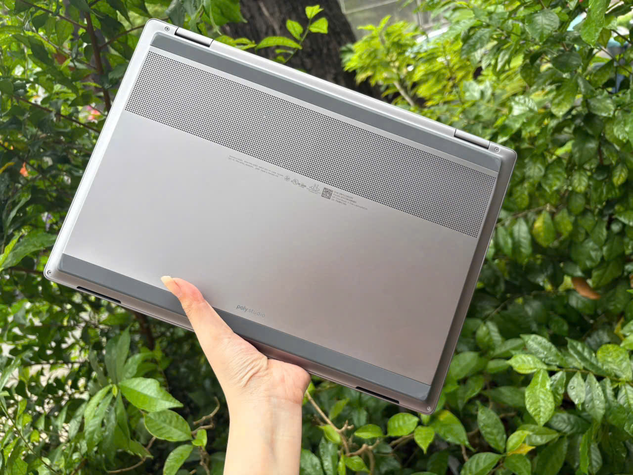 z7163480143754_69ba1f46b8018aebb3c51384f1db8a9d