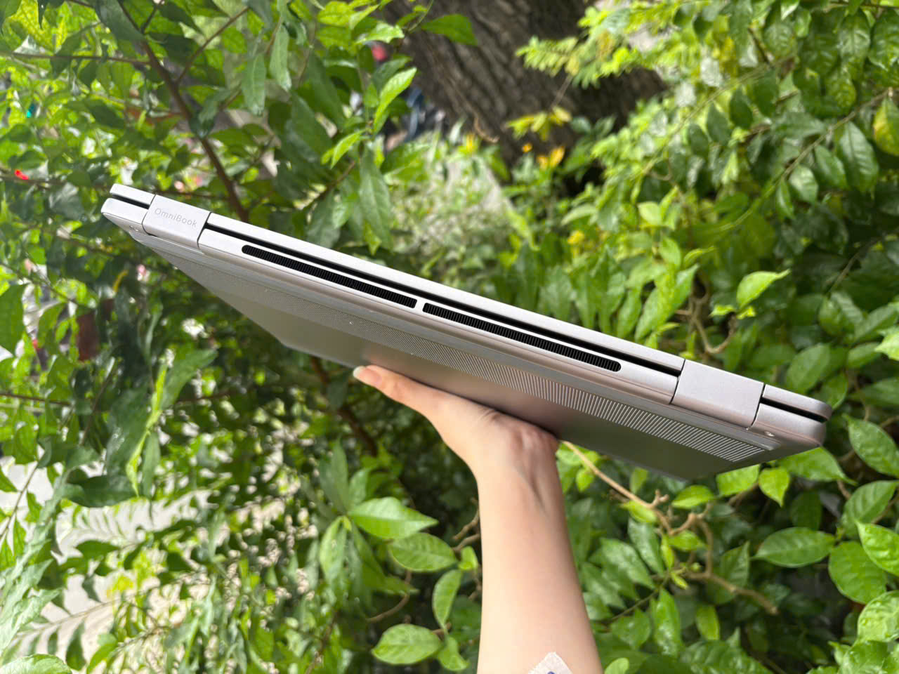 z7163480159906_52987fb66b7789fedc556cd636ed9162