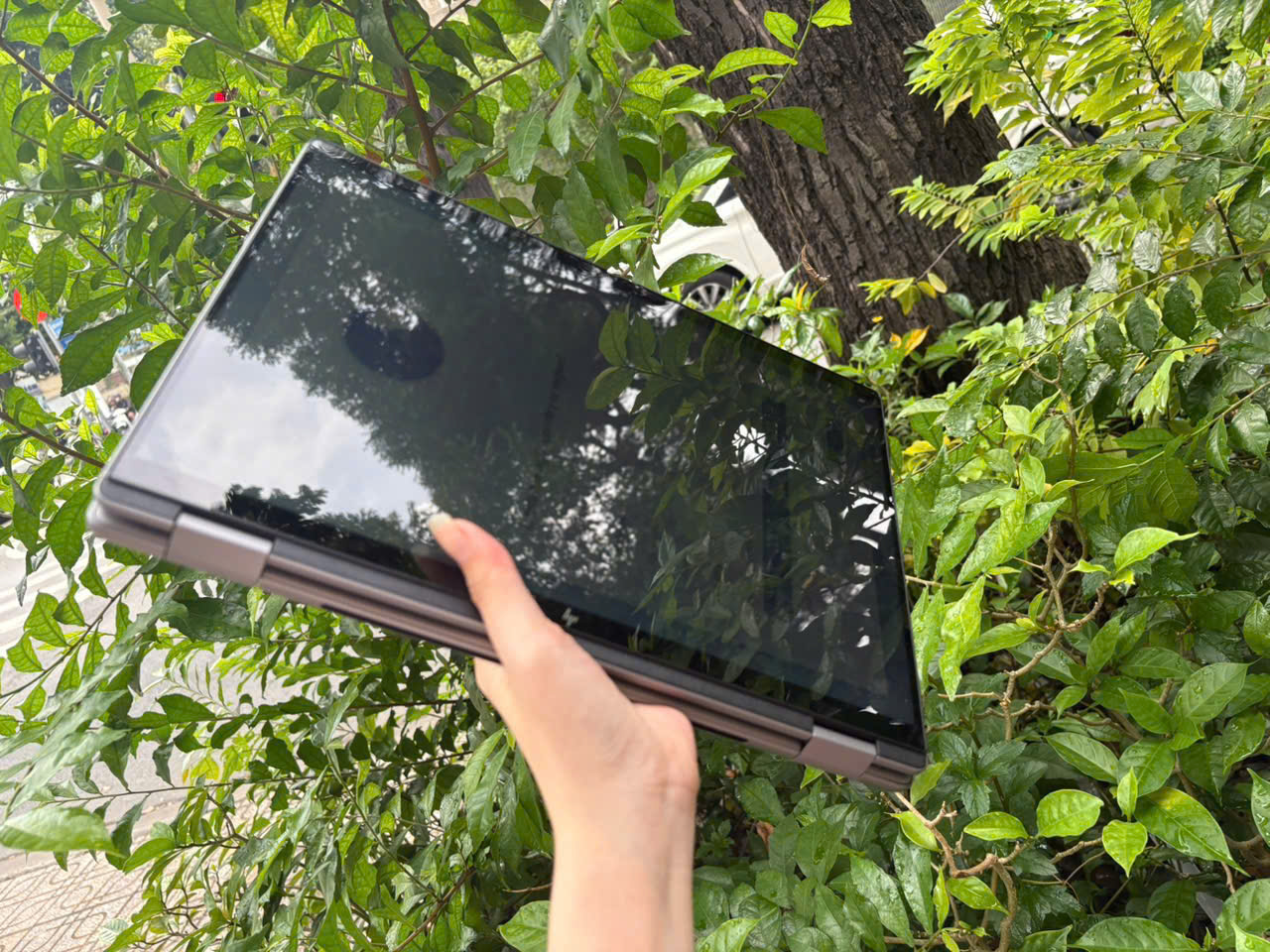 z7163480170934_fb2f9d20e35df4998dcbbb7086bda376