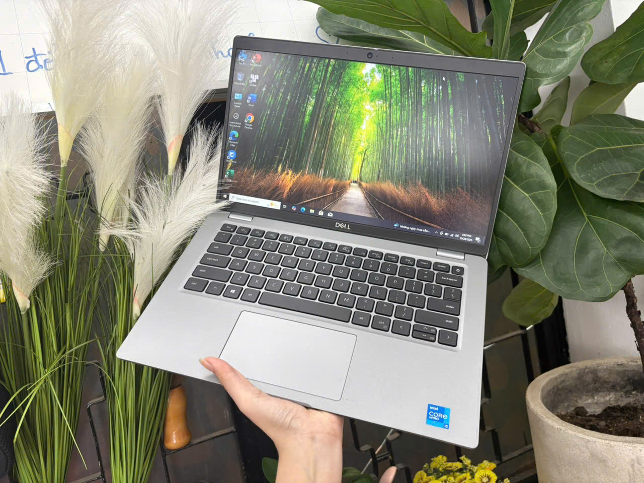 z7164270012703_d3f433a23da794953c473d8b576d8bc8