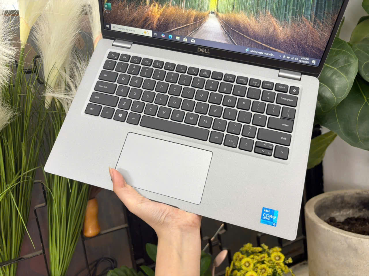 z7164270181111_341ad1ab2be5088e32d6e66f5c200a92