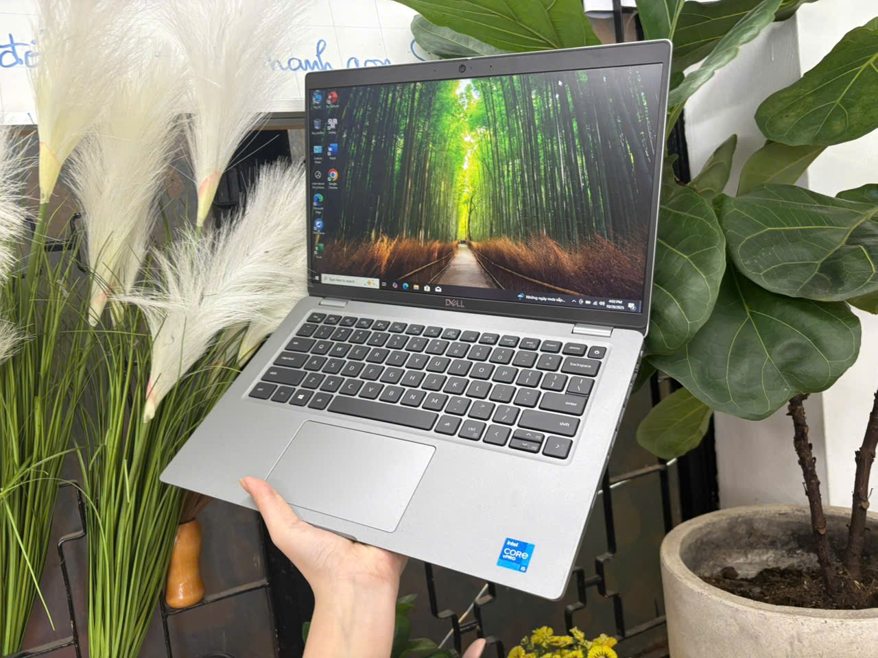 z7164270359792_7e987b56773c7faad977fc2f69cd94cf