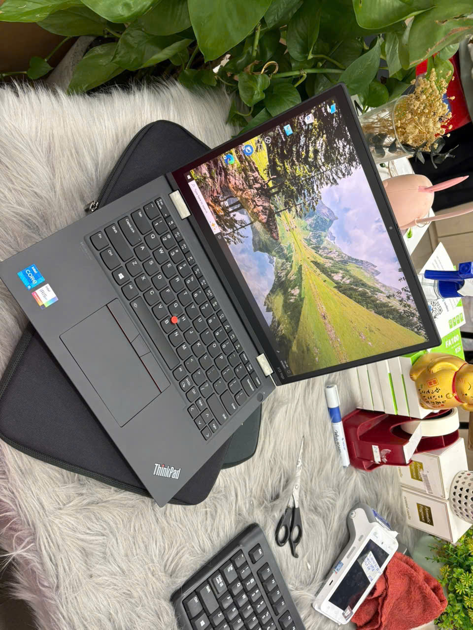 z7164772476220_b768c12e0f0440ab6b934b29bff13266