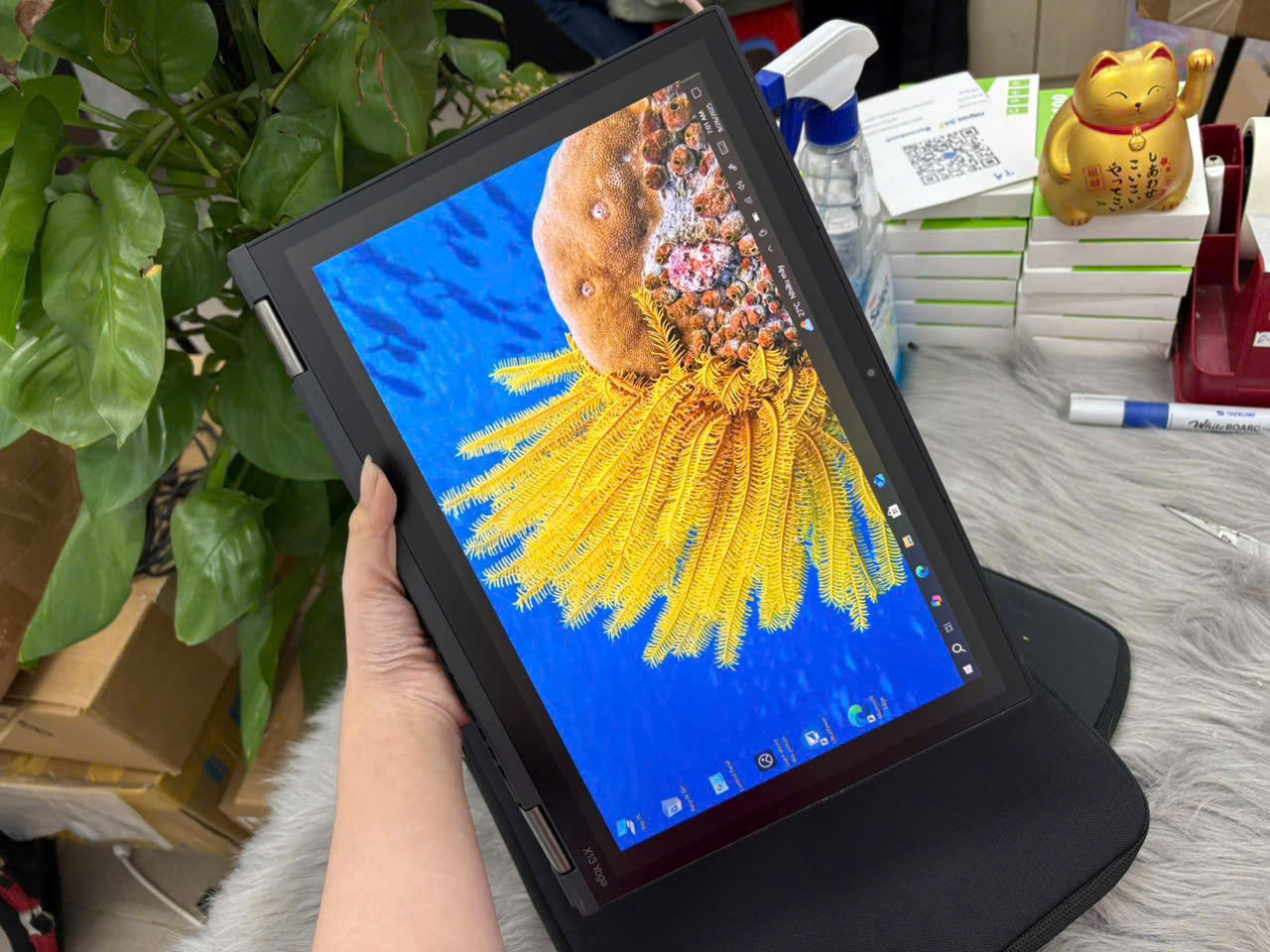 z7164772570091_8267e886a1a6e05ceeb3fad6c6aeb18f