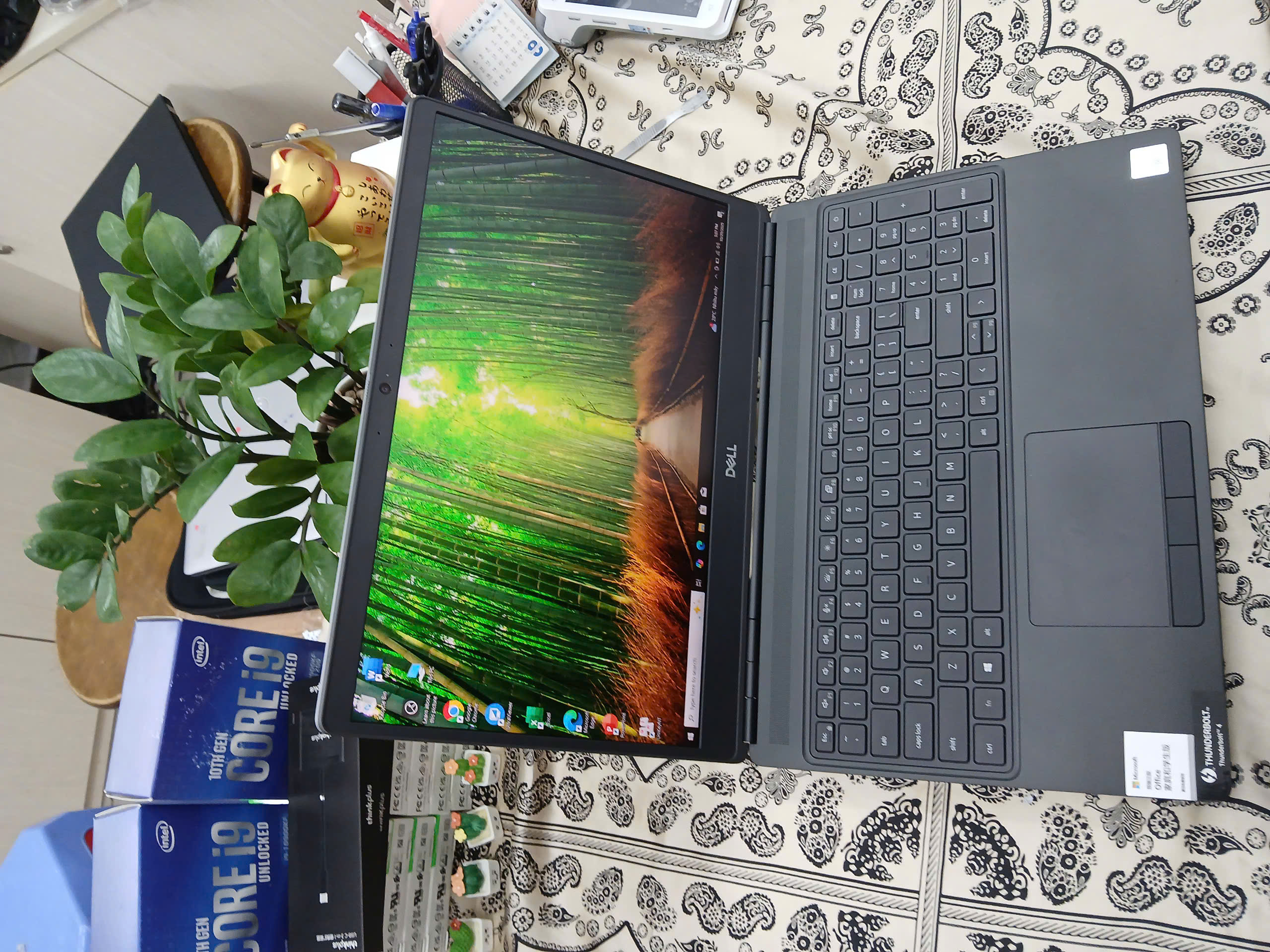 z7168069681775_511169b544954f63d746ebb008d43dc8