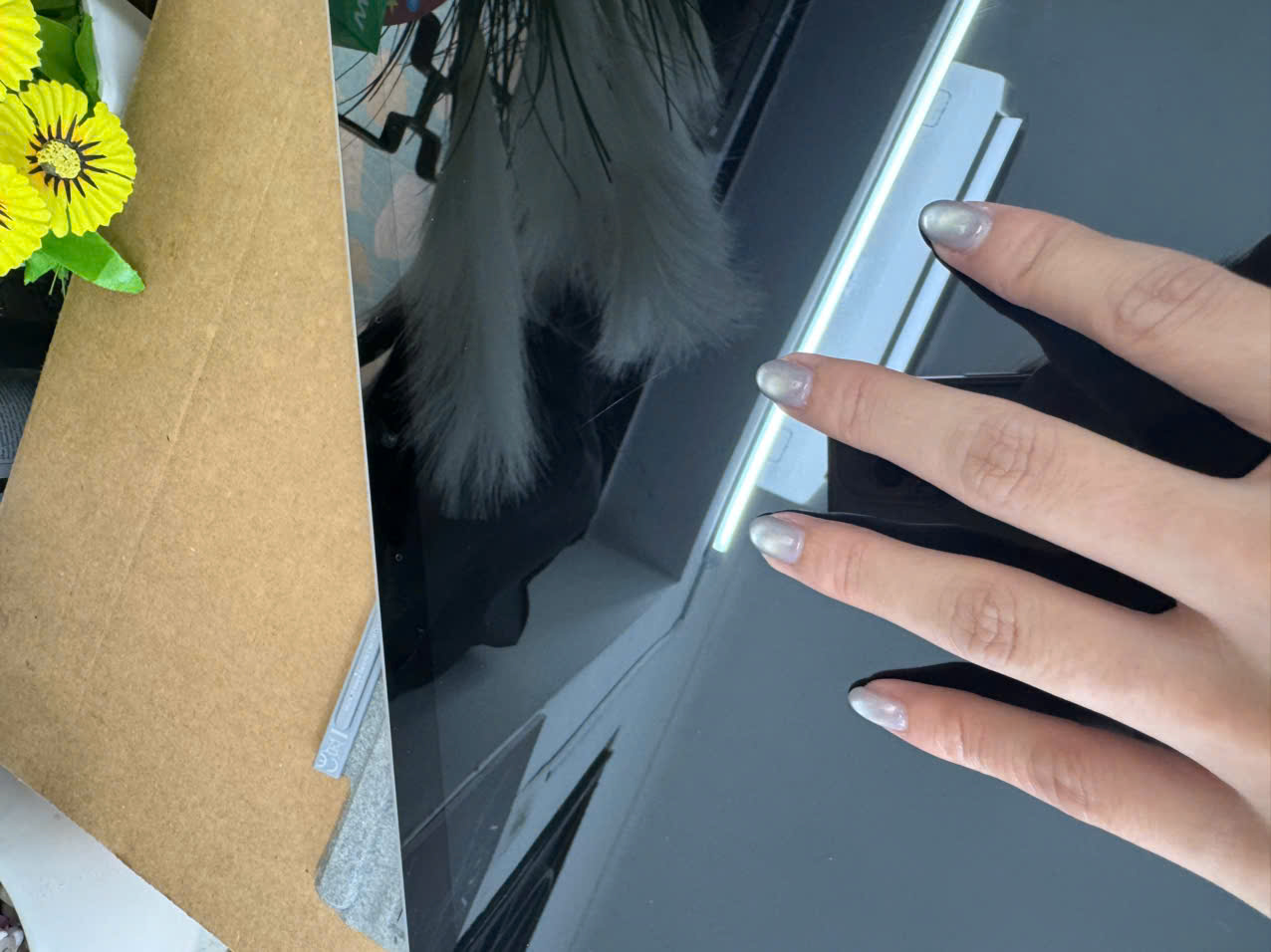 z7222296678612_db98565df286ac843f72f84d09ef6765