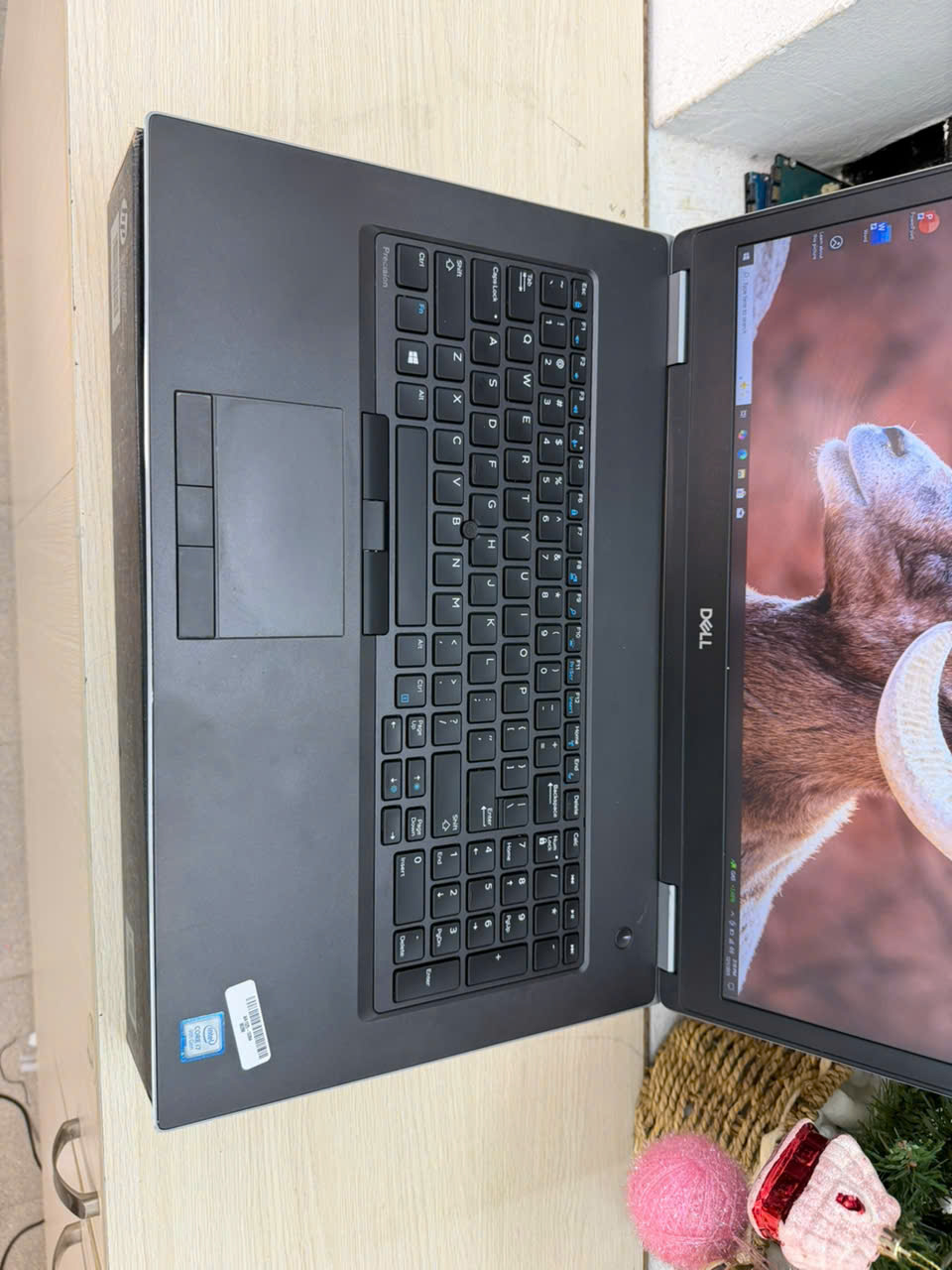 z7284660877774_05bd7922fc419b7354556fef312f9664