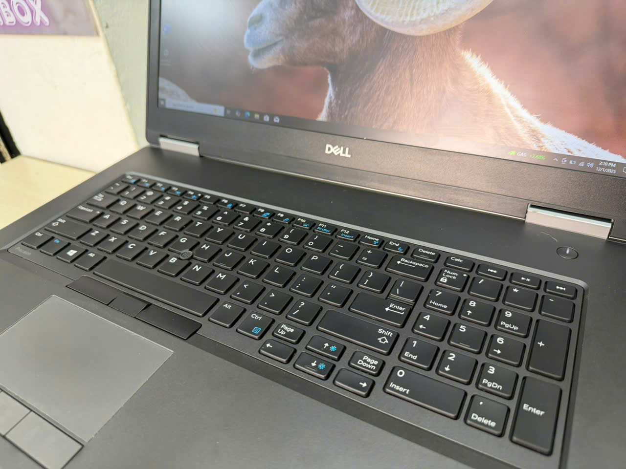 z7284661045206_69cb120ac8ea99cfe9bec0f76b2f6bbd