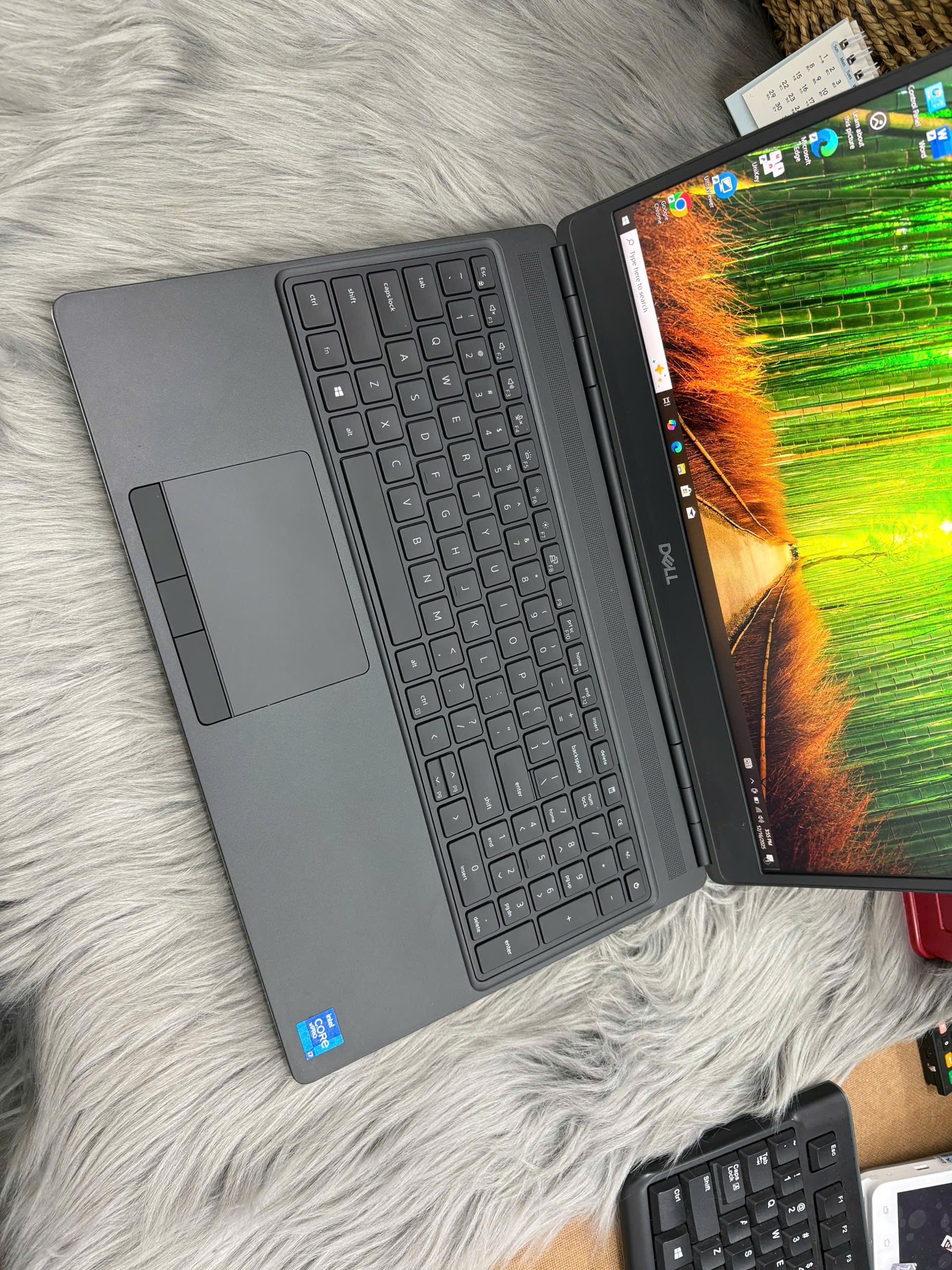 z7332916418140_7c9bf557d56a9a15bb799f6a67548977