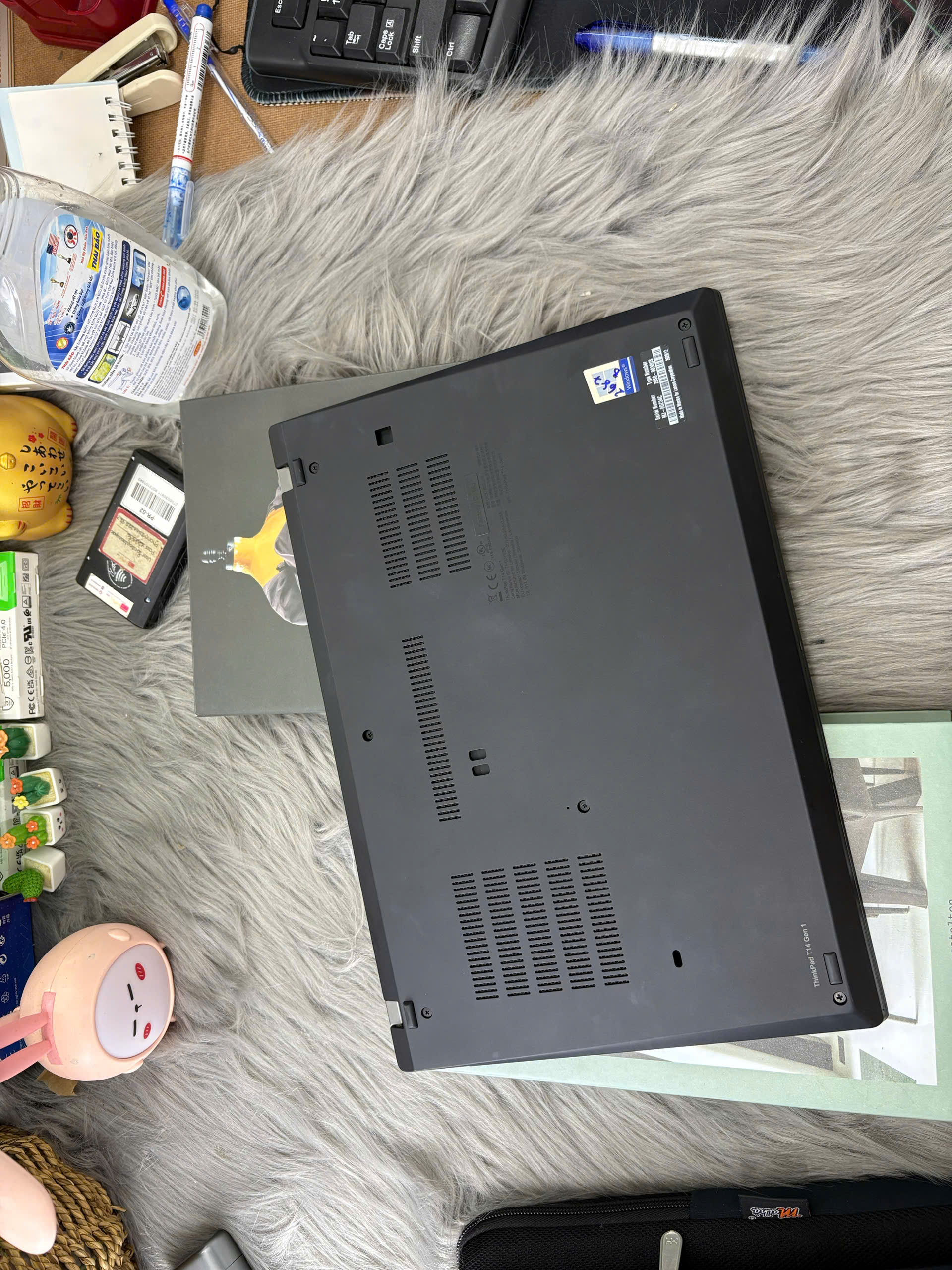 z7370615998582_f8402037ca53fc6a9f641c293d41a9a8