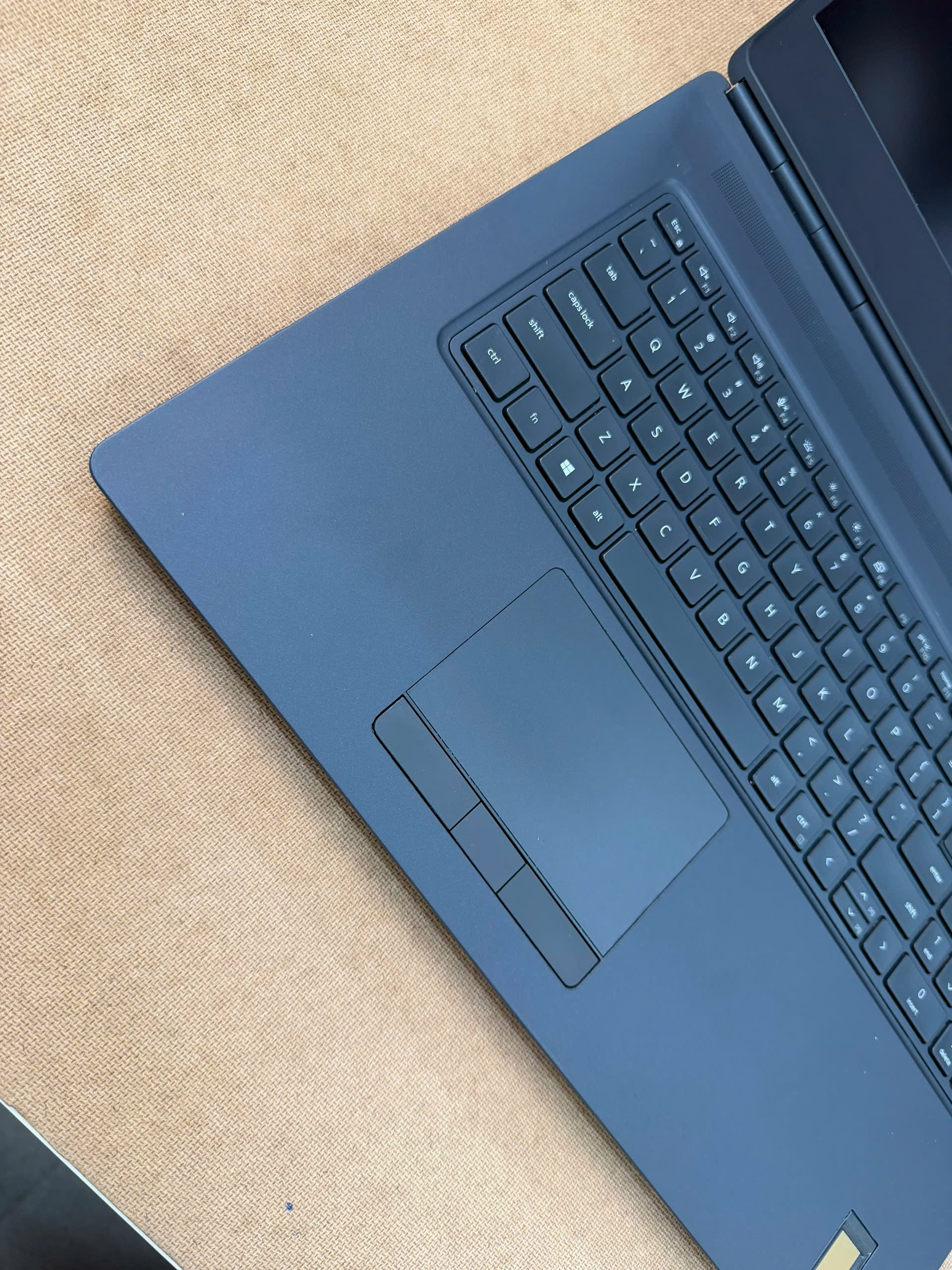 z7419885779227_1ab88ed2d27a48e2c298a2a458497381