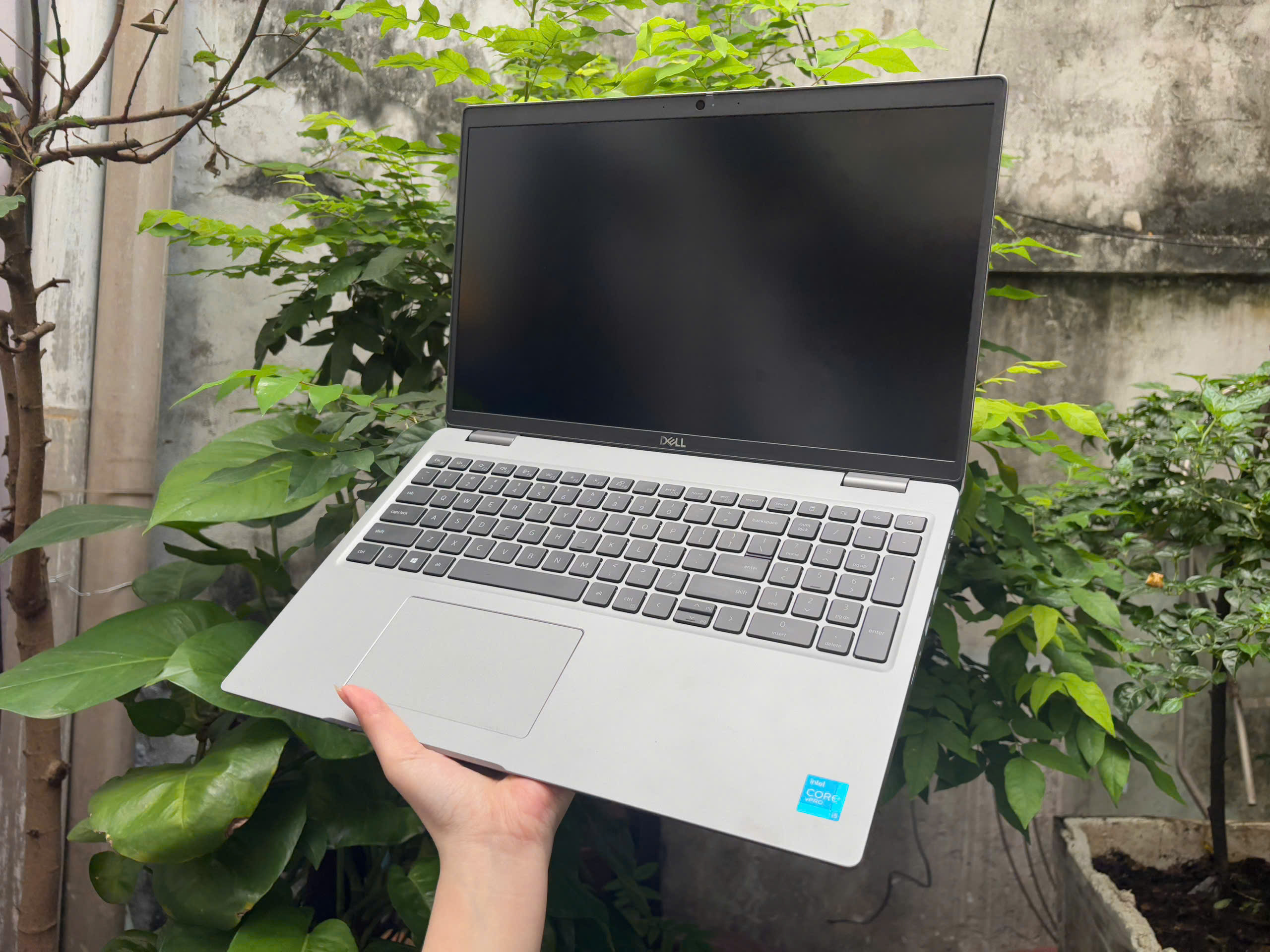 z7430270730795_971b5871587effaa8f4906a896326da1