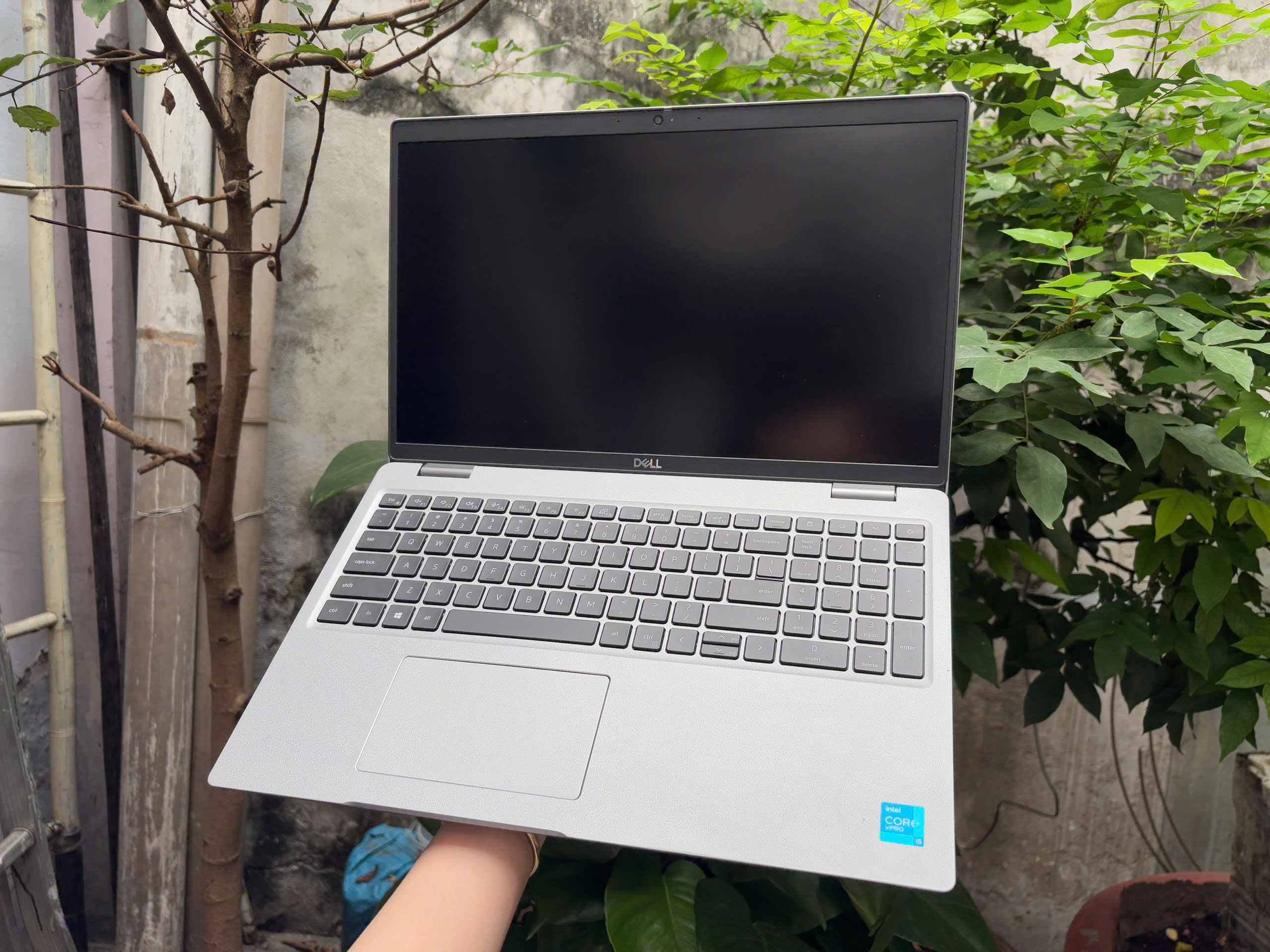 z7439360522547_1a08749191437f4980fdeb95c1e76ef7