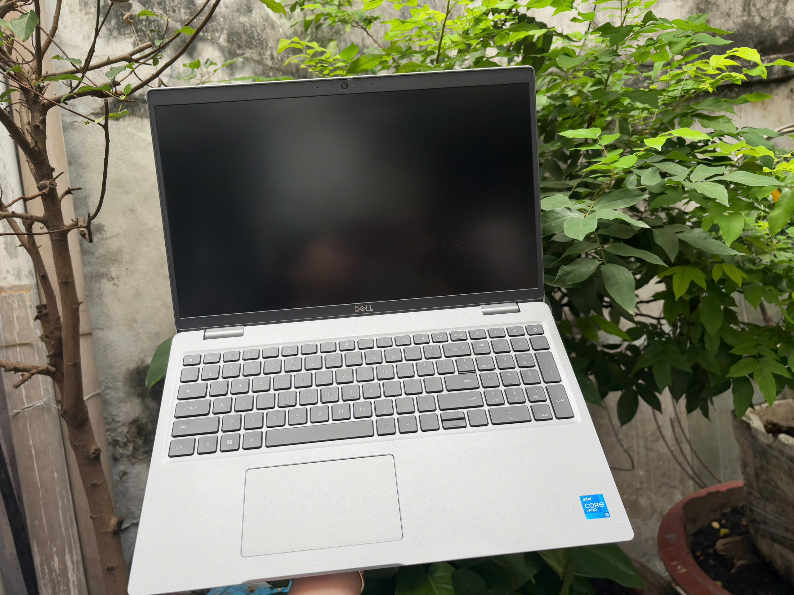 z7439360522549_850ee51d76654cc0f4930a528e6bbb52