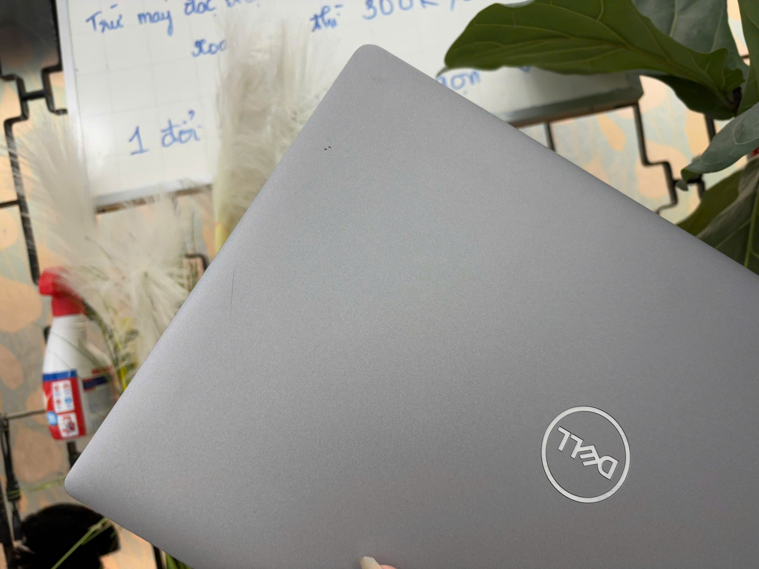 z7442528255810_2e9575bef3916d1382502b00fb8352cf