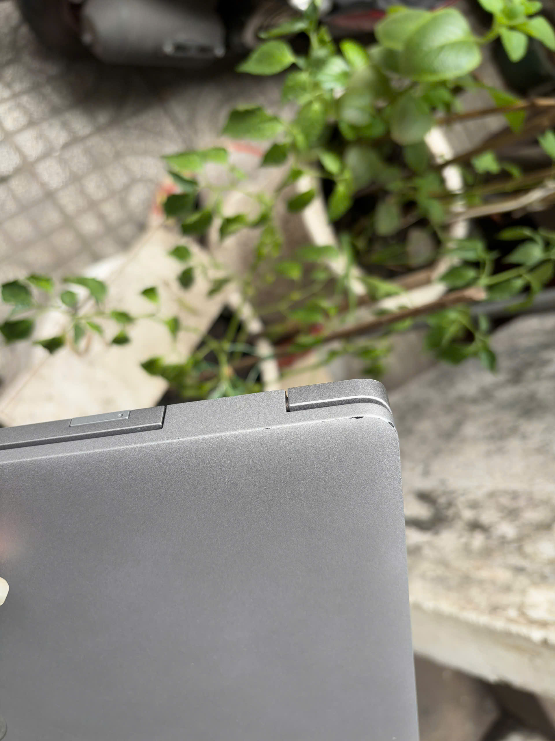 z7449095725770_3bc86660679b8059dc0eea0be1d351da