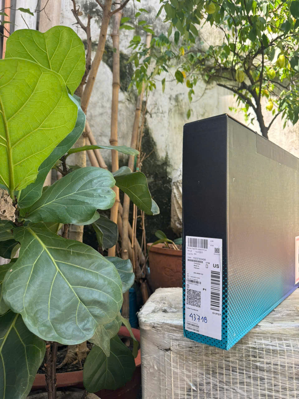 z7557538703444_ce2f0045b11eed1d70beef77df5d0079